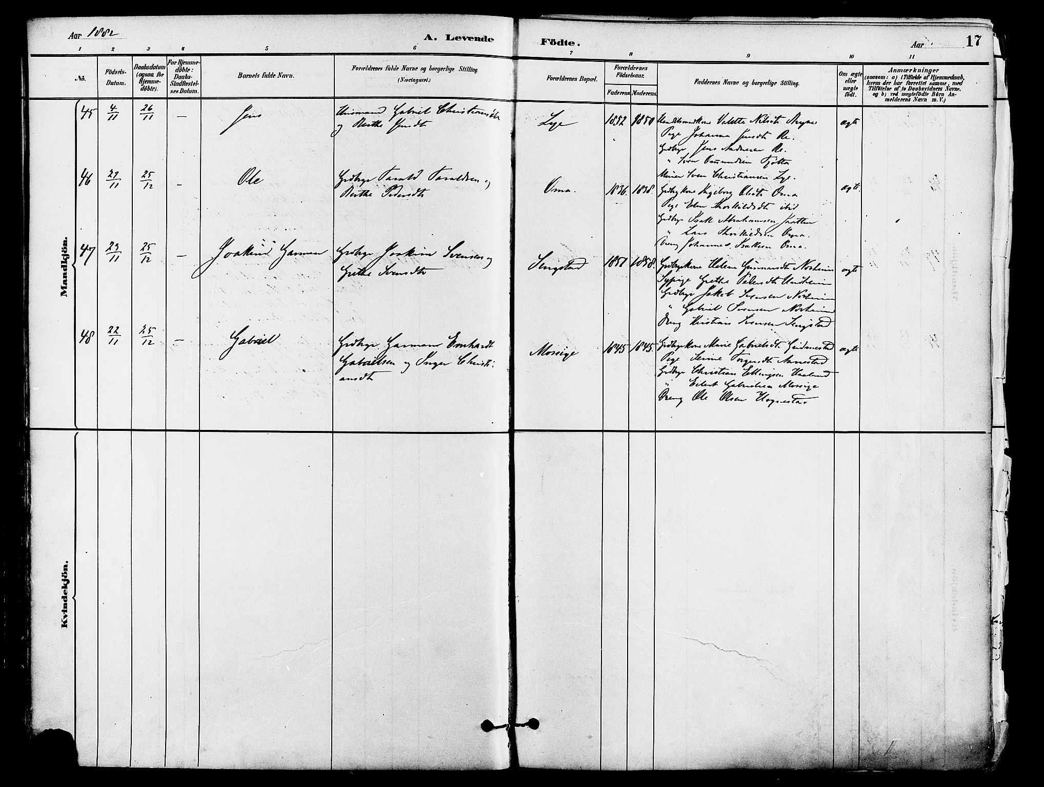 Lye sokneprestkontor, SAST/A-101794/001/30BA/L0009: Parish register (official) no. A 8, 1881-1892, p. 17