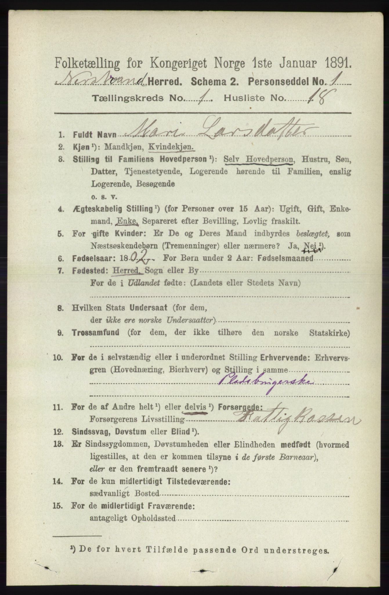 RA, 1891 census for 1139 Nedstrand, 1891, p. 175