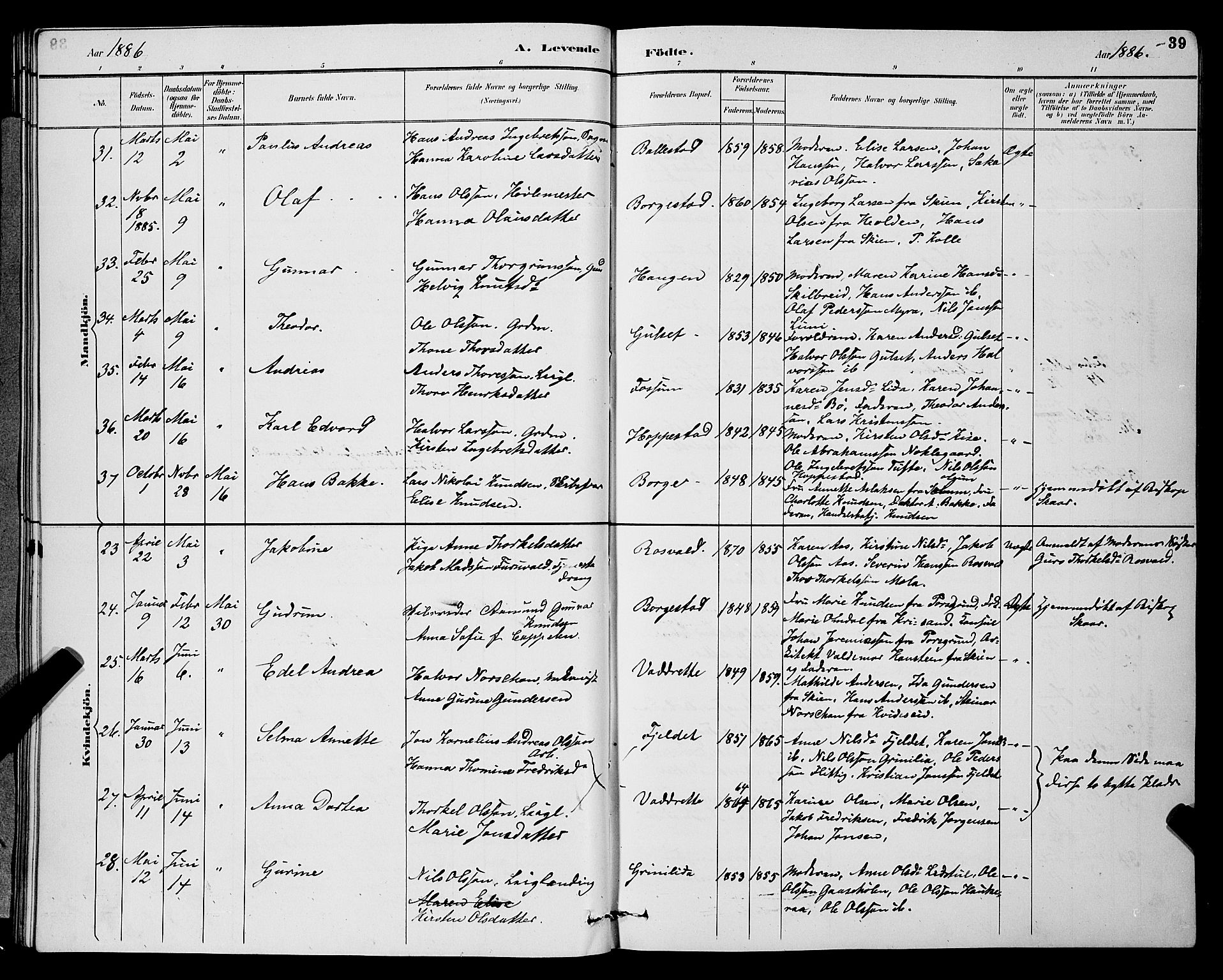 Gjerpen kirkebøker, AV/SAKO-A-265/G/Ga/L0002: Parish register (copy) no. I 2, 1883-1900, p. 39