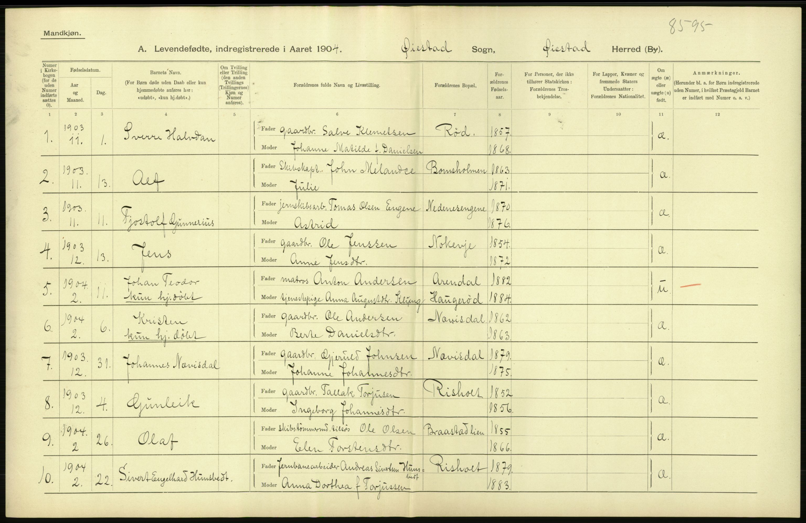 Statistisk sentralbyrå, Sosiodemografiske emner, Befolkning, AV/RA-S-2228/D/Df/Dfa/Dfab/L0010: Nedenes amt: Fødte, gifte, døde, 1904, p. 4