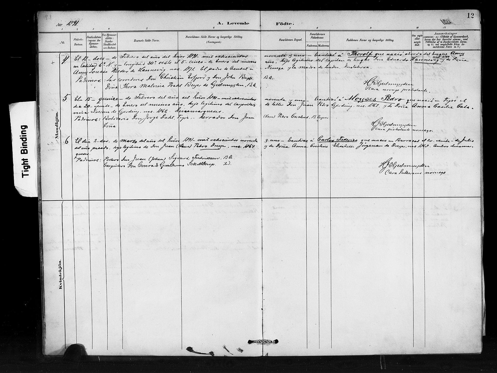Den norske sjømannsmisjon i utlandet/Syd-Amerika (Buenos Aires m.fl.), SAB/SAB/PA-0118/H/Ha/L0001: Parish register (official) no. A 1, 1888-1898, p. 12