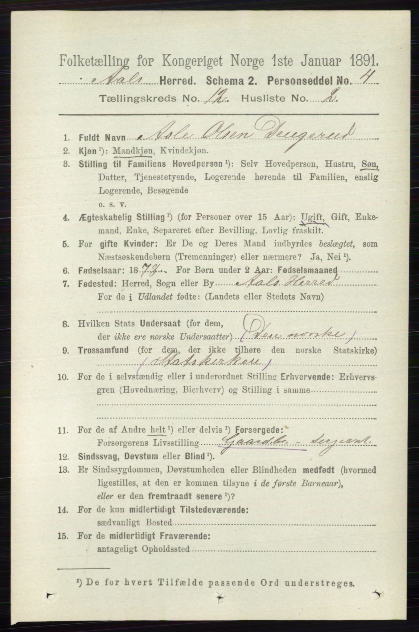 RA, 1891 census for 0619 Ål, 1891, p. 3017