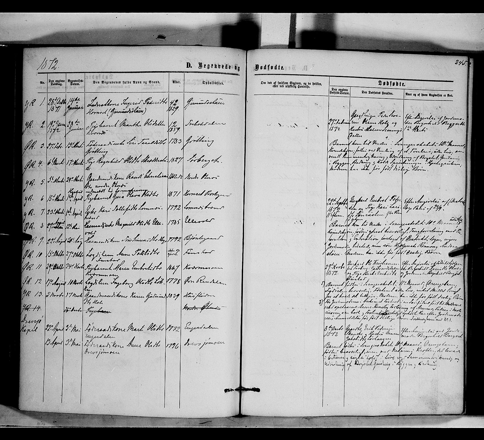 Rendalen prestekontor, SAH/PREST-054/H/Ha/Haa/L0006: Parish register (official) no. 6, 1867-1877, p. 245