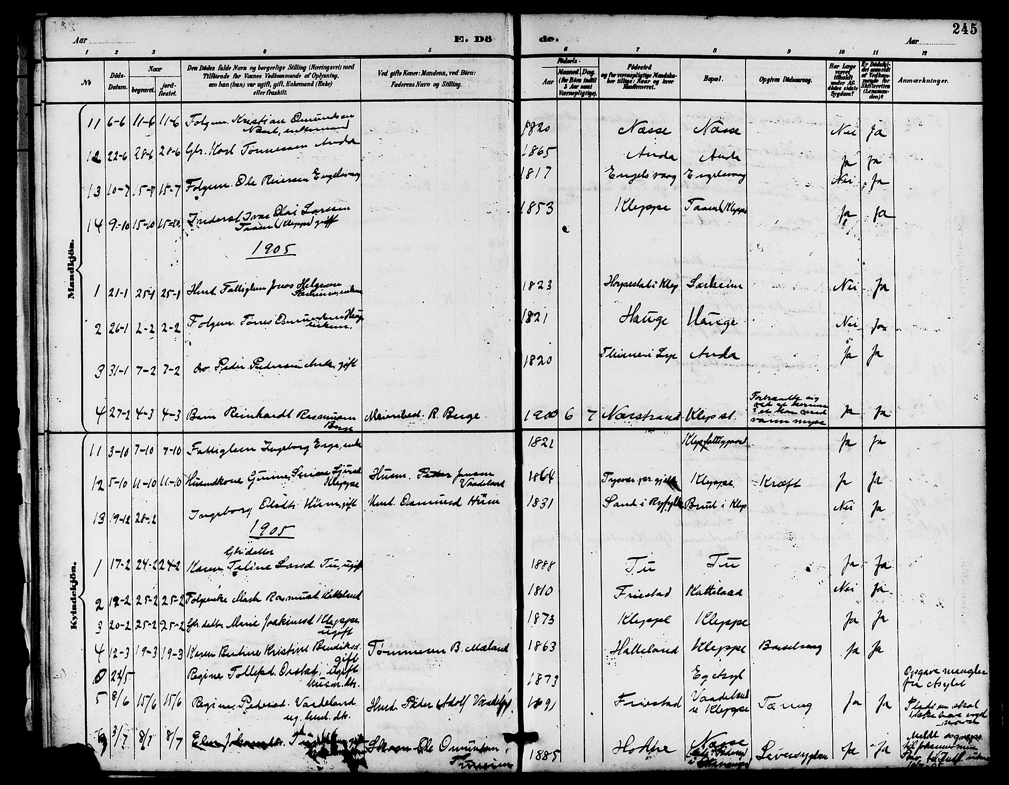 Klepp sokneprestkontor, SAST/A-101803/001/3/30BB/L0004: Parish register (copy) no. B 4, 1889-1914, p. 245