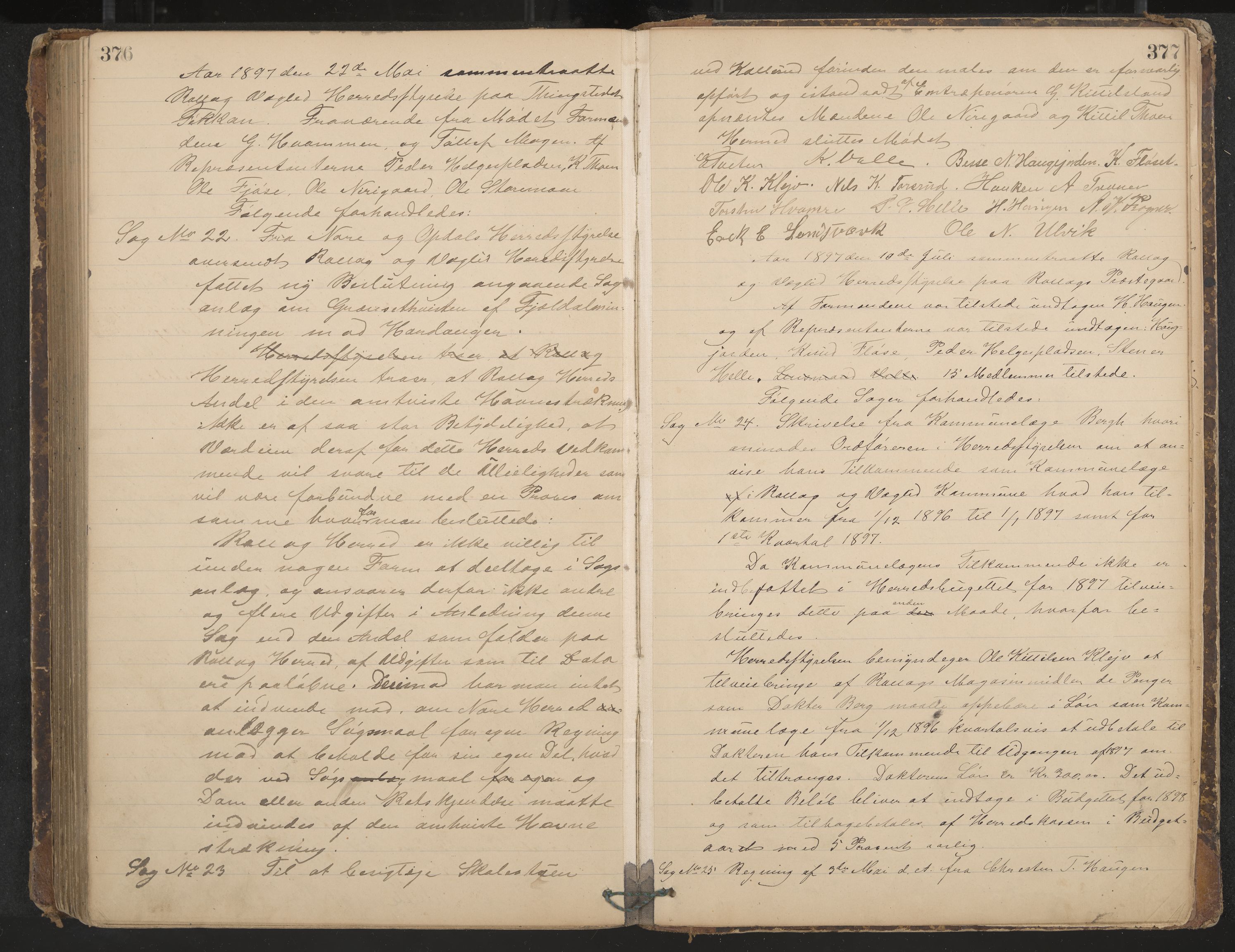 Rollag formannskap og sentraladministrasjon, IKAK/0632021-2/A/Aa/L0003: Møtebok, 1884-1897, p. 376-377