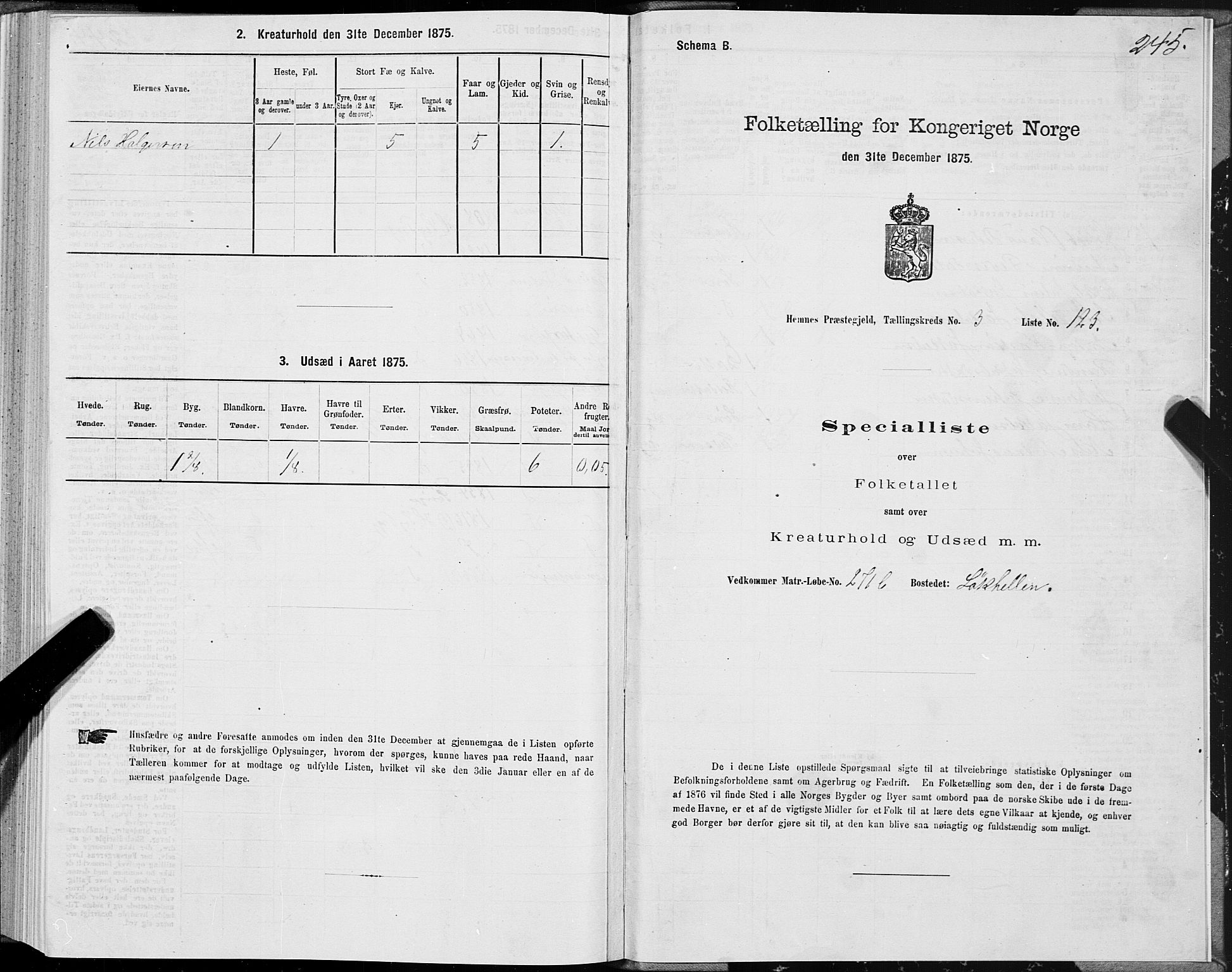 SAT, 1875 census for 1832P Hemnes, 1875, p. 2245