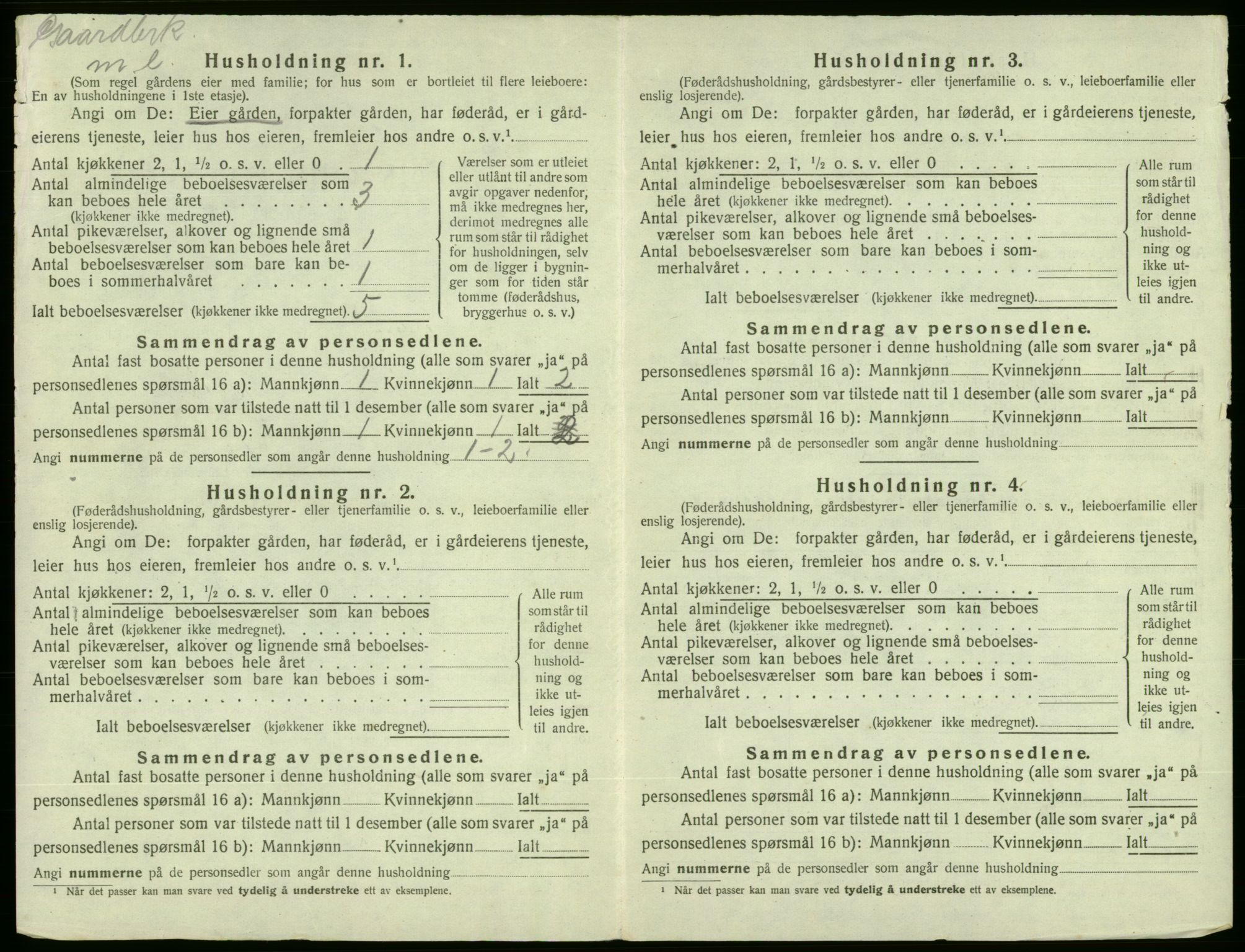 SAB, 1920 census for Etne, 1920, p. 208