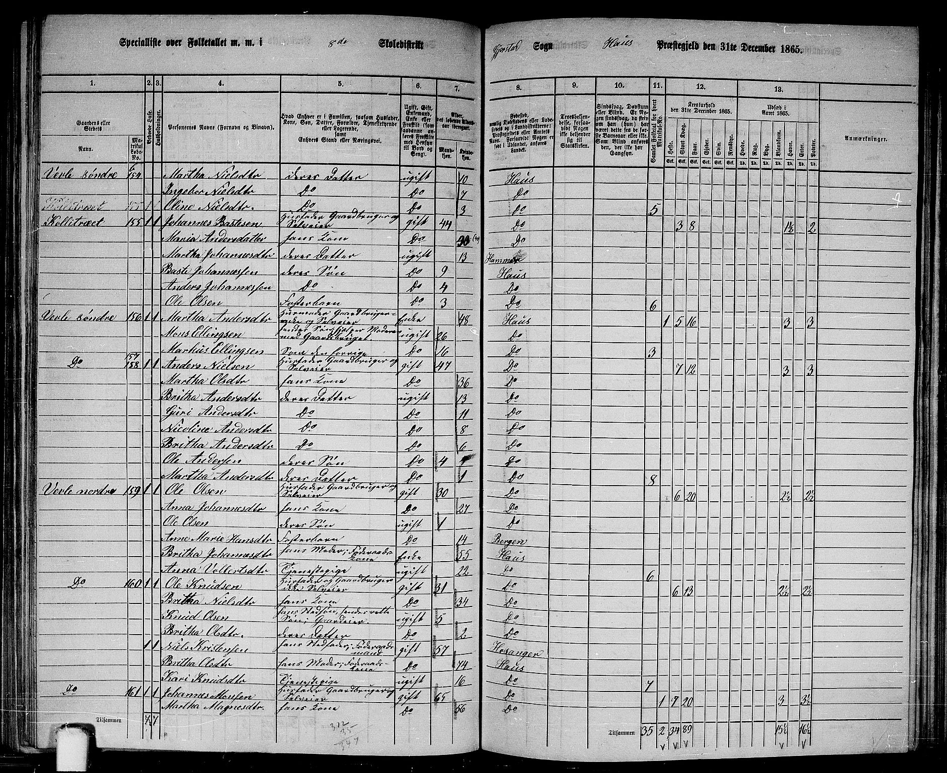 RA, 1865 census for Haus, 1865, p. 159