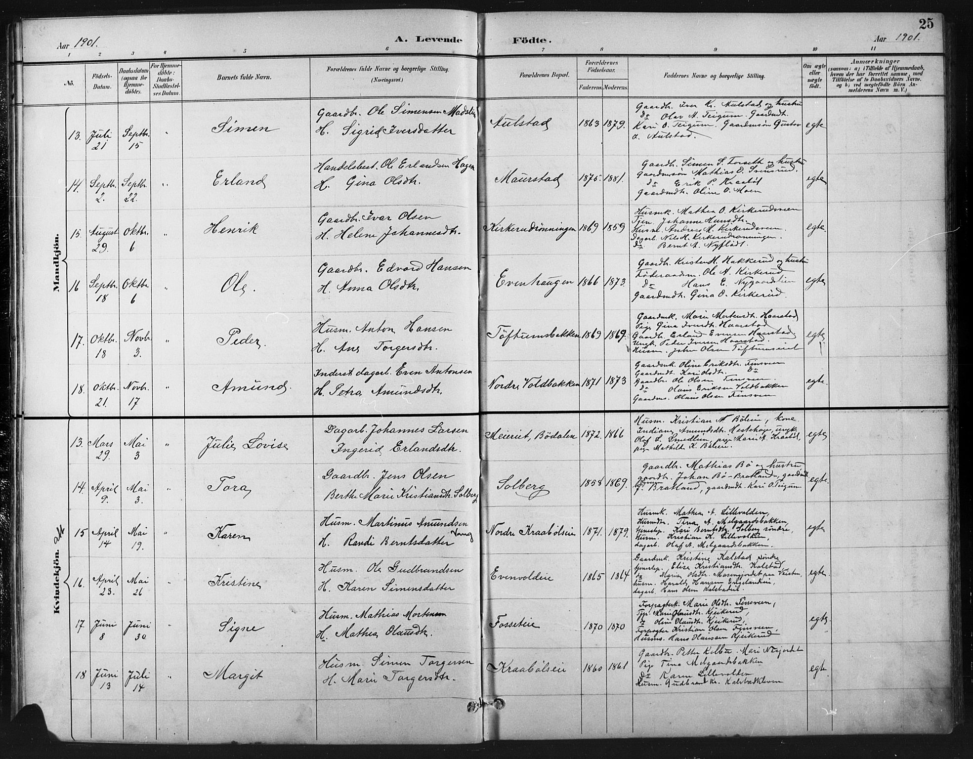 Vestre Gausdal prestekontor, AV/SAH-PREST-094/H/Ha/Hab/L0003: Parish register (copy) no. 3, 1896-1925, p. 25