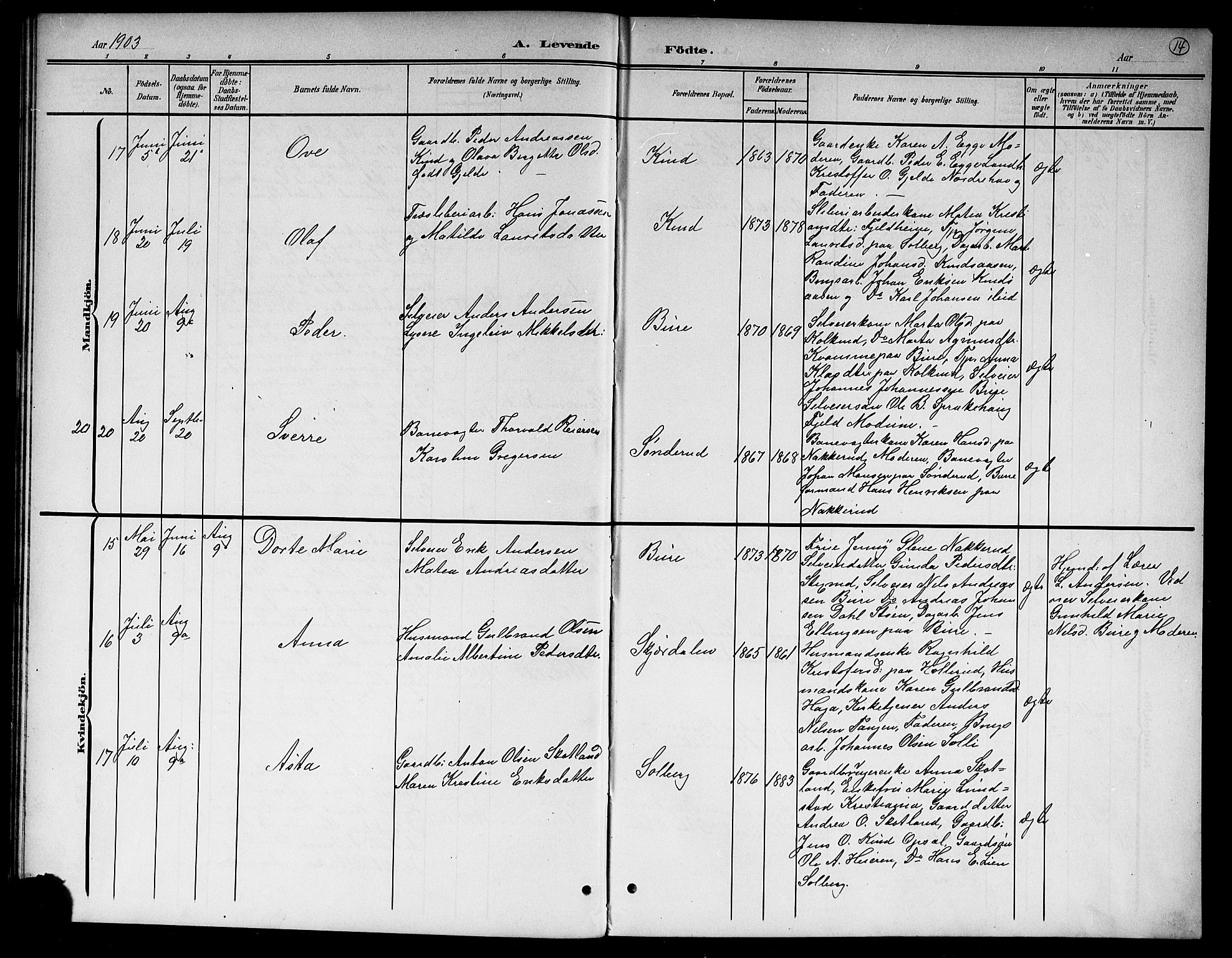 Hole kirkebøker, SAKO/A-228/G/Gb/L0004: Parish register (copy) no. II 4, 1901-1916, p. 14