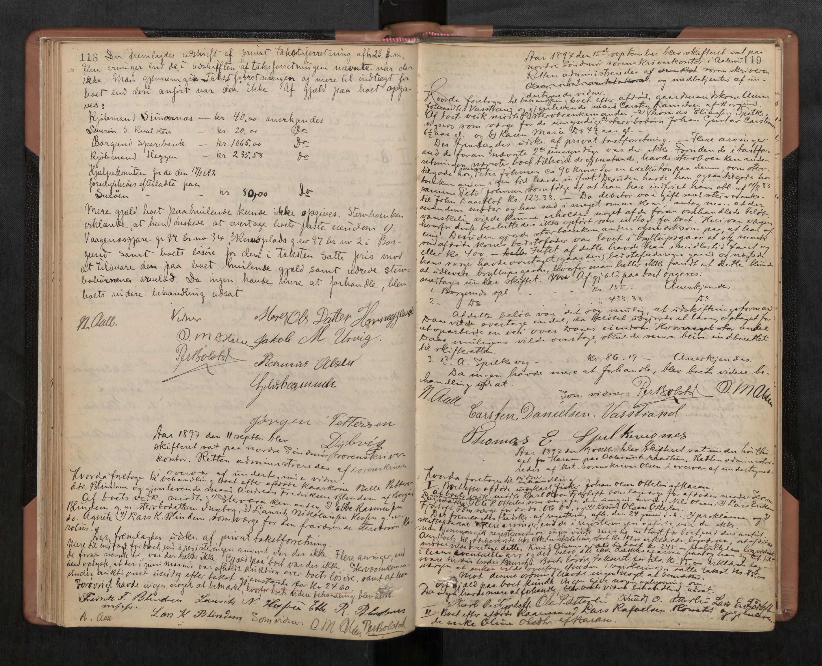 Nordre Sunnmøre sorenskriveri, AV/SAT-A-0006/1/3/3B/L0003: Skiftebehandlingsprotokoll 3, 1892-1907, p. 118-119