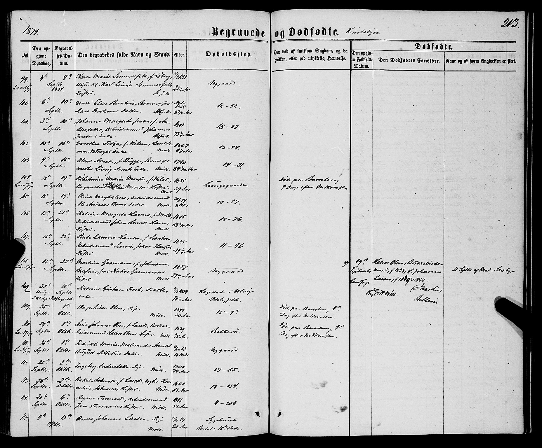 Domkirken sokneprestembete, AV/SAB-A-74801/H/Haa/L0042: Parish register (official) no. E 3, 1863-1876, p. 213