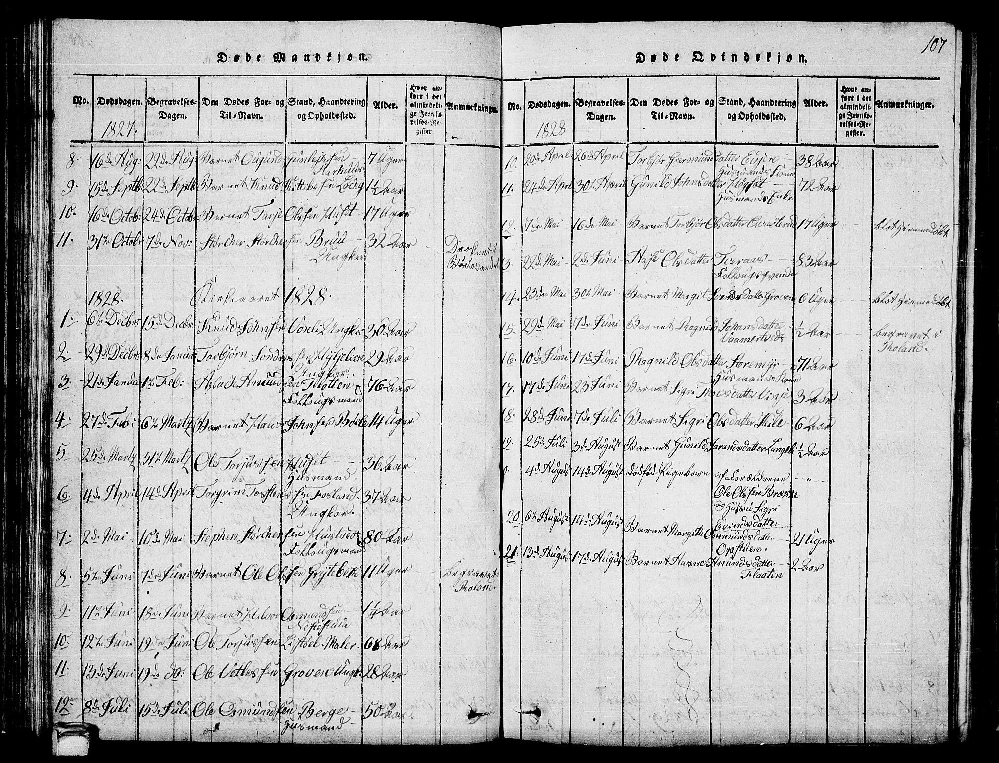 Vinje kirkebøker, SAKO/A-312/G/Ga/L0001: Parish register (copy) no. I 1, 1814-1843, p. 107