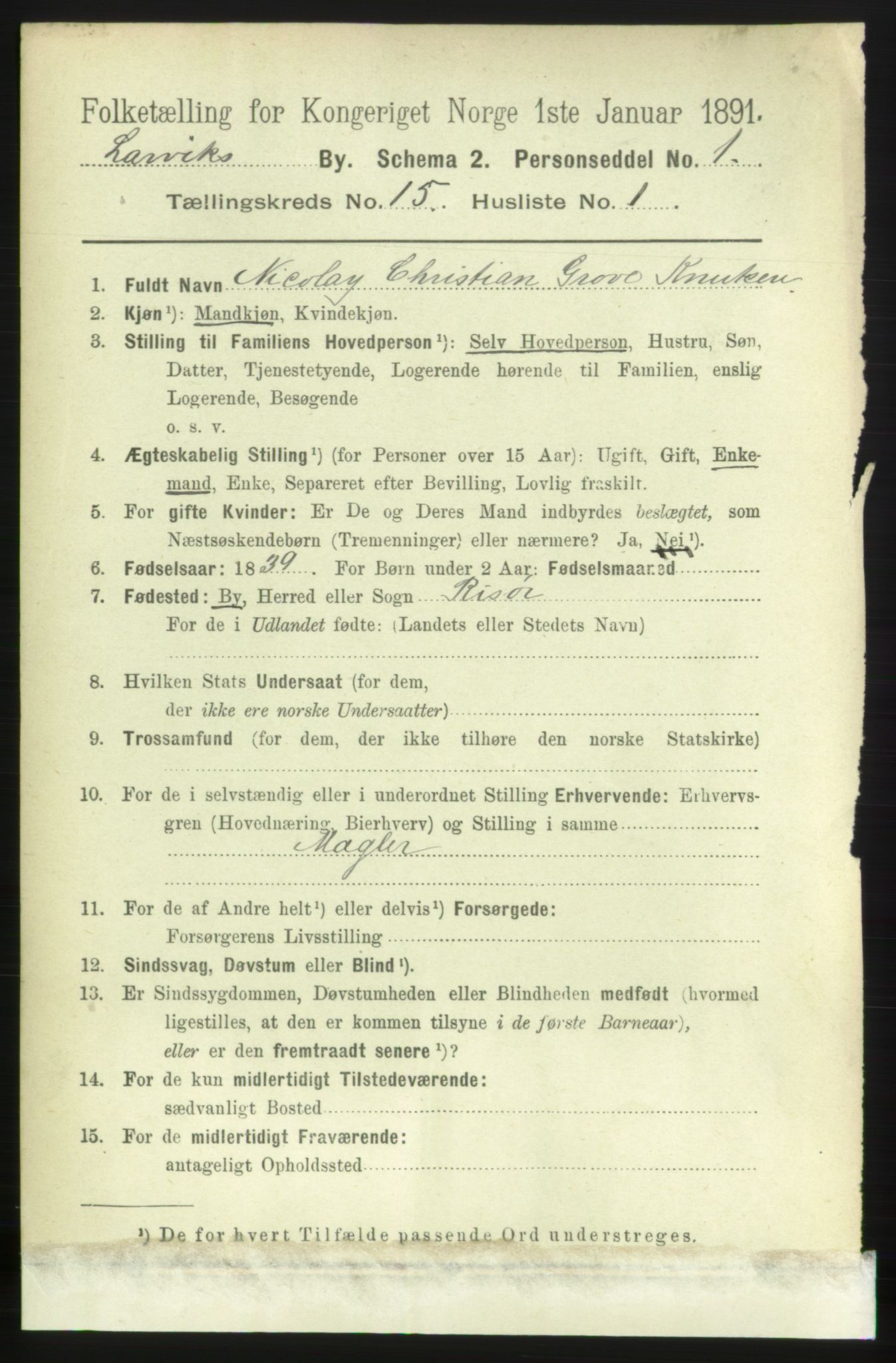 RA, 1891 census for 0707 Larvik, 1891, p. 11329