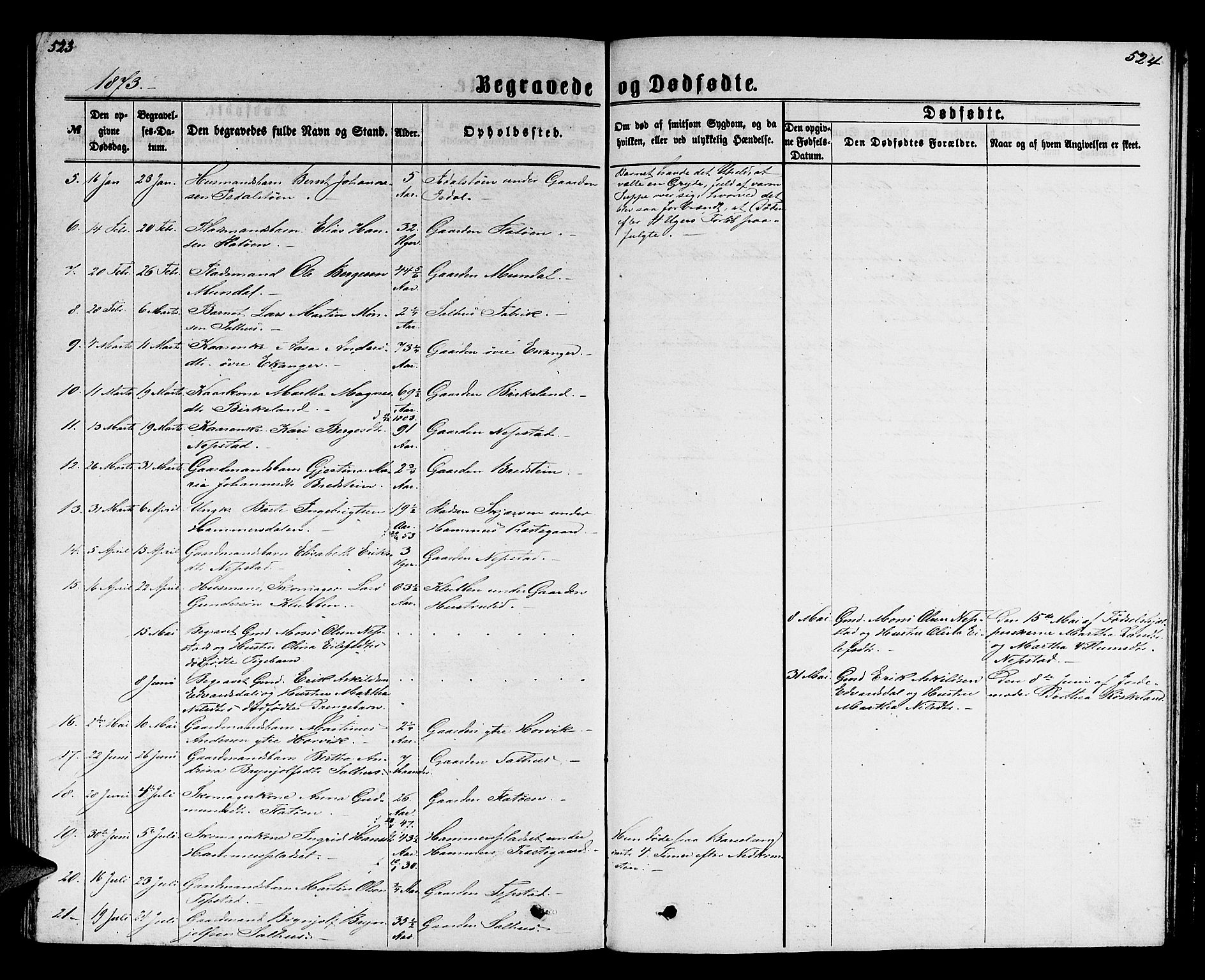 Hamre sokneprestembete, SAB/A-75501/H/Ha/Hab: Parish register (copy) no. B 2, 1863-1880, p. 523-524