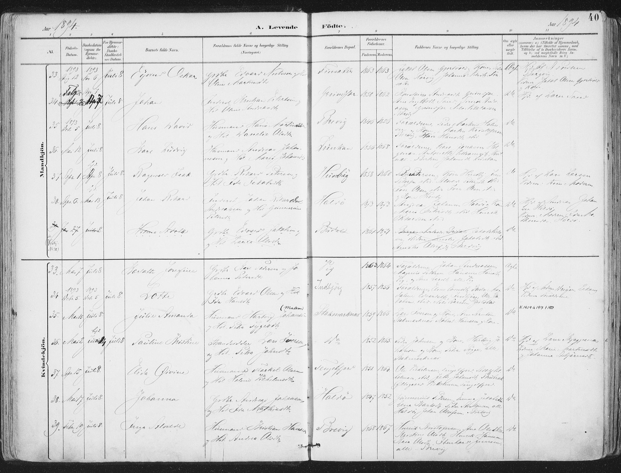 Ministerialprotokoller, klokkerbøker og fødselsregistre - Nordland, AV/SAT-A-1459/888/L1246: Parish register (official) no. 888A12, 1891-1903, p. 40