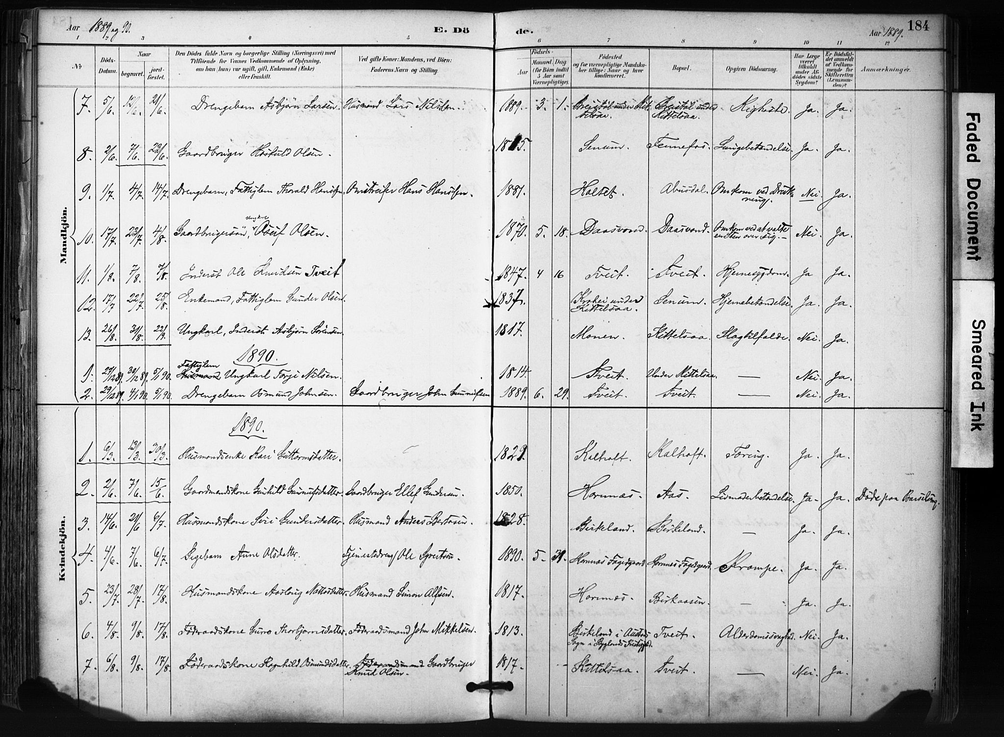 Evje sokneprestkontor, SAK/1111-0008/F/Fa/Fab/L0003: Parish register (official) no. A 3, 1884-1909, p. 184