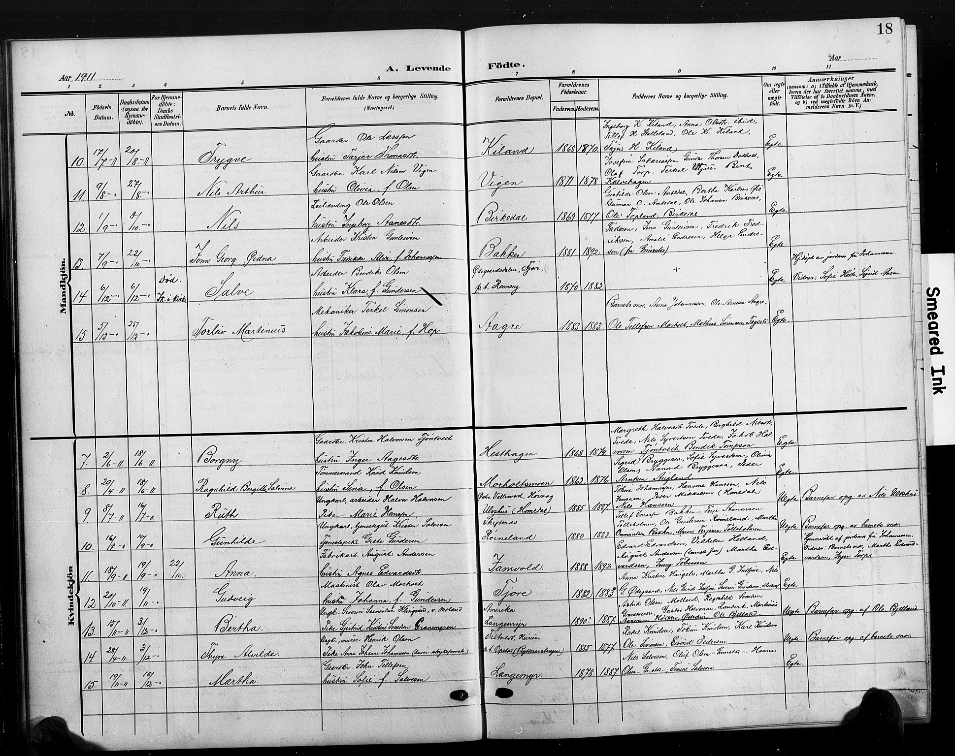 Hommedal sokneprestkontor, AV/SAK-1111-0023/F/Fb/Fbb/L0008: Parish register (copy) no. B 8, 1905-1929, p. 18