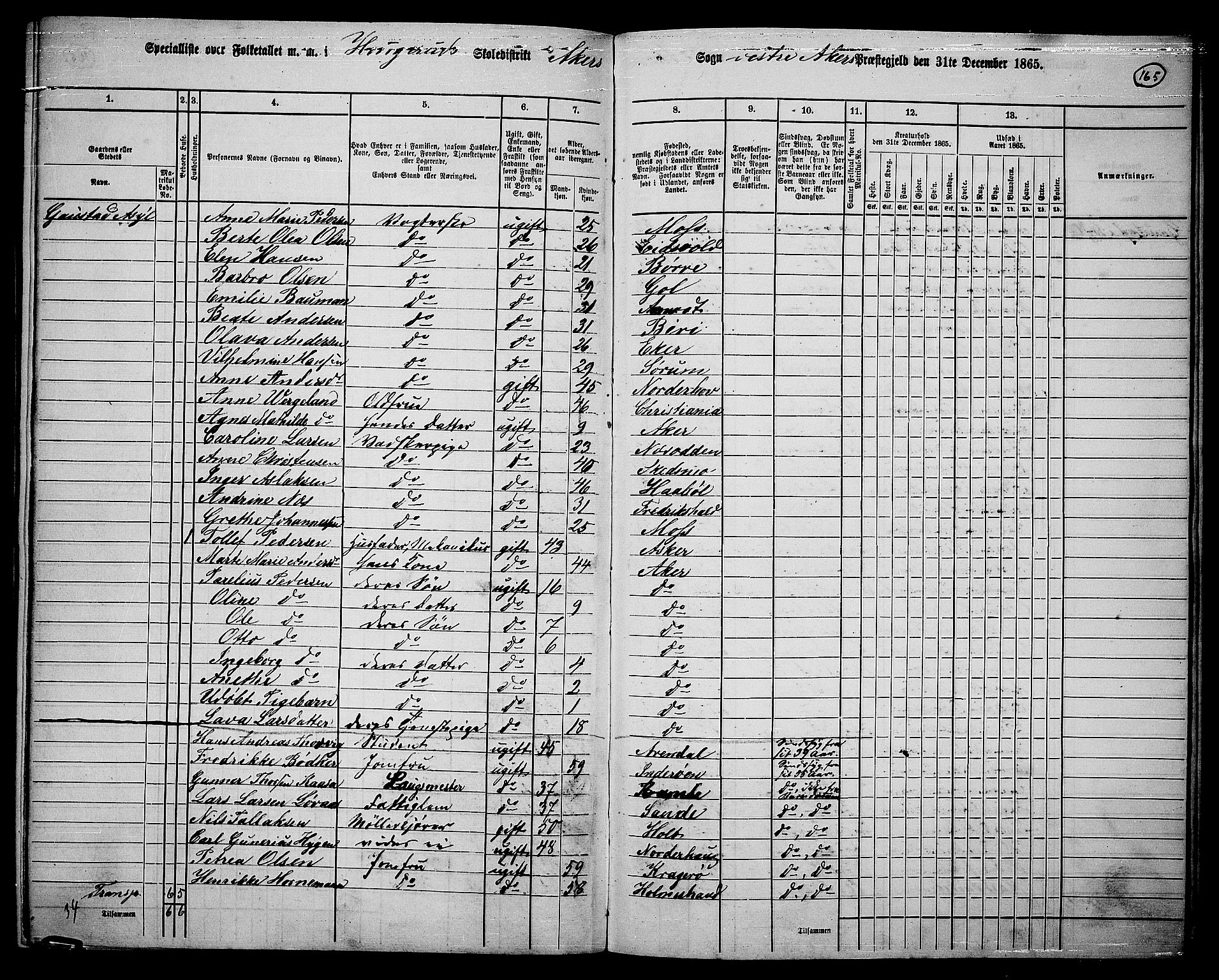 RA, 1865 census for Vestre Aker, 1865, p. 146