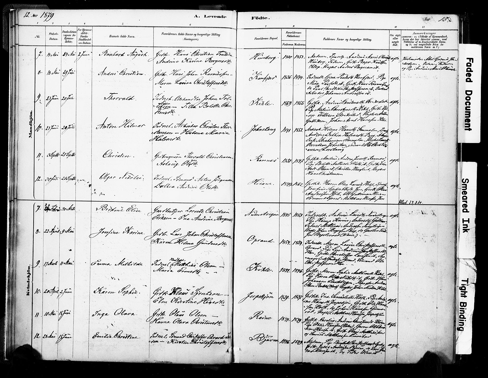 Ramnes kirkebøker, AV/SAKO-A-314/F/Fa/L0007: Parish register (official) no. I 7, 1878-1895, p. 12-13