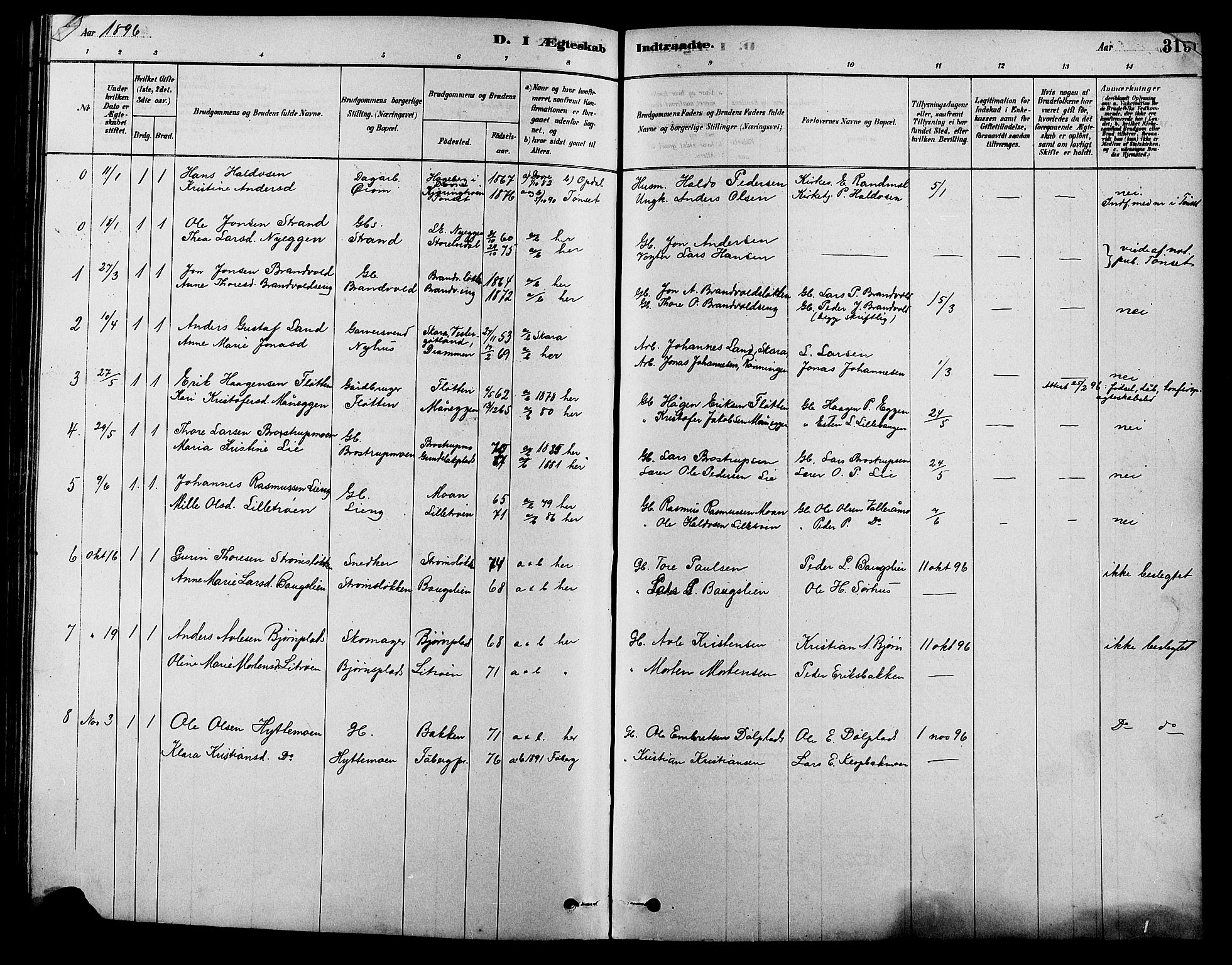 Alvdal prestekontor, SAH/PREST-060/H/Ha/Hab/L0003: Parish register (copy) no. 3, 1878-1907, p. 319