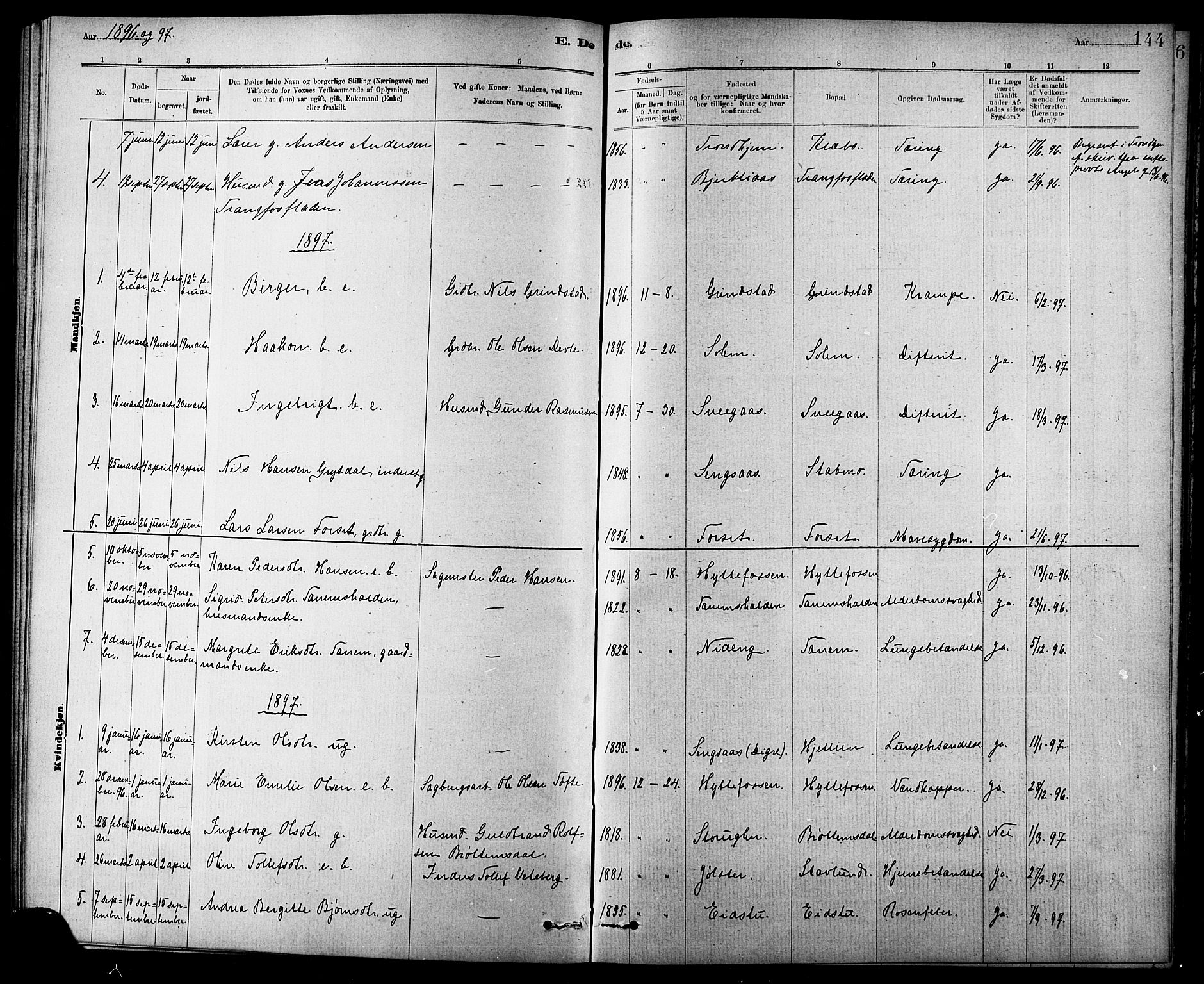 Ministerialprotokoller, klokkerbøker og fødselsregistre - Sør-Trøndelag, SAT/A-1456/618/L0452: Parish register (copy) no. 618C03, 1884-1906, p. 144