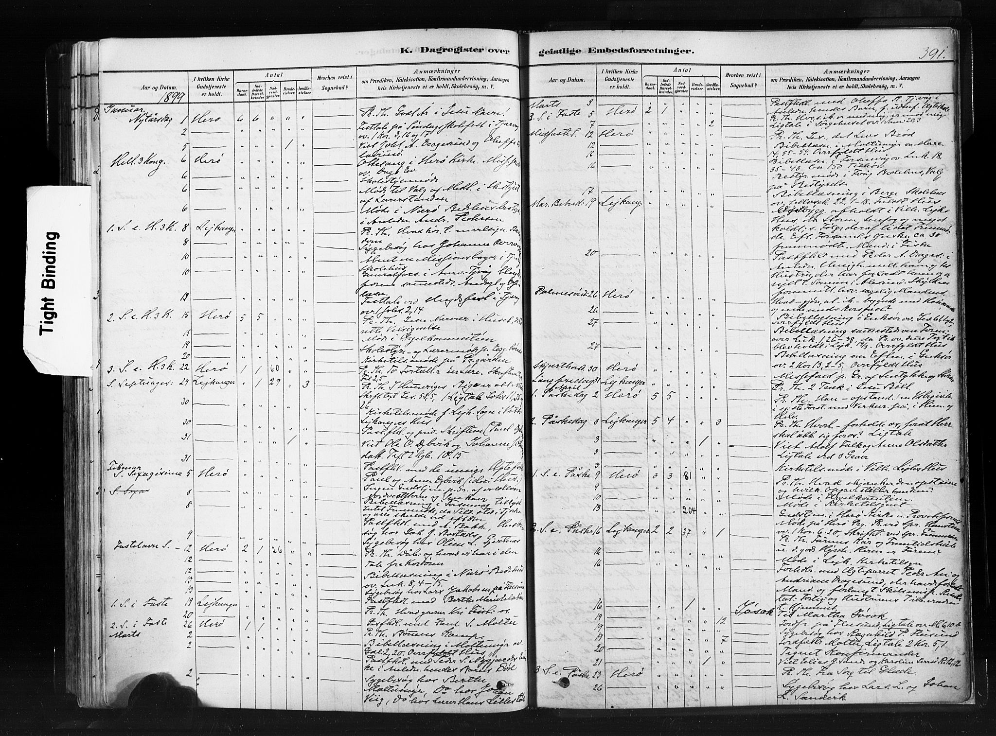 Ministerialprotokoller, klokkerbøker og fødselsregistre - Møre og Romsdal, SAT/A-1454/507/L0073: Parish register (official) no. 507A08, 1878-1904, p. 391