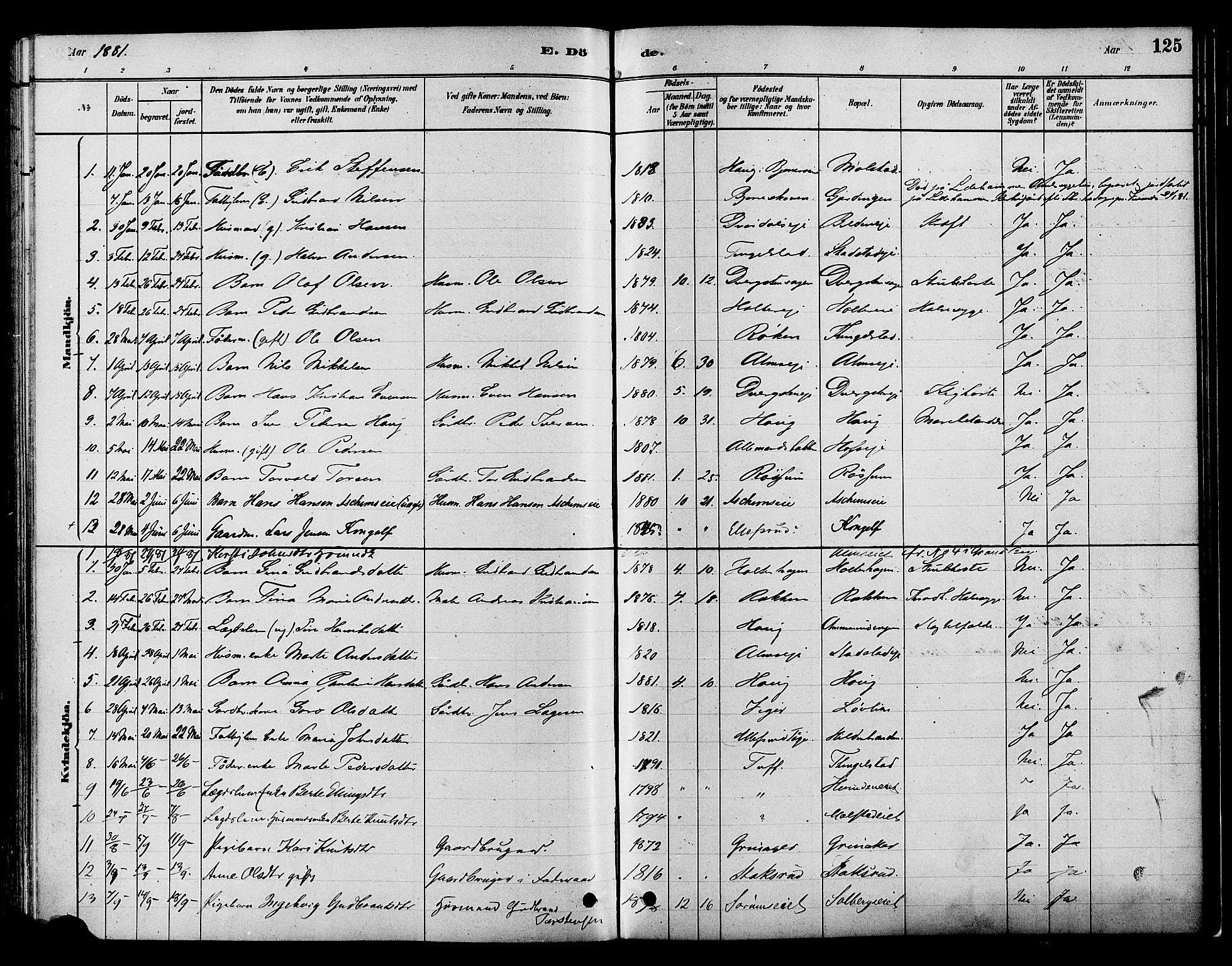 Gran prestekontor, SAH/PREST-112/H/Ha/Haa/L0016: Parish register (official) no. 16, 1880-1888, p. 125