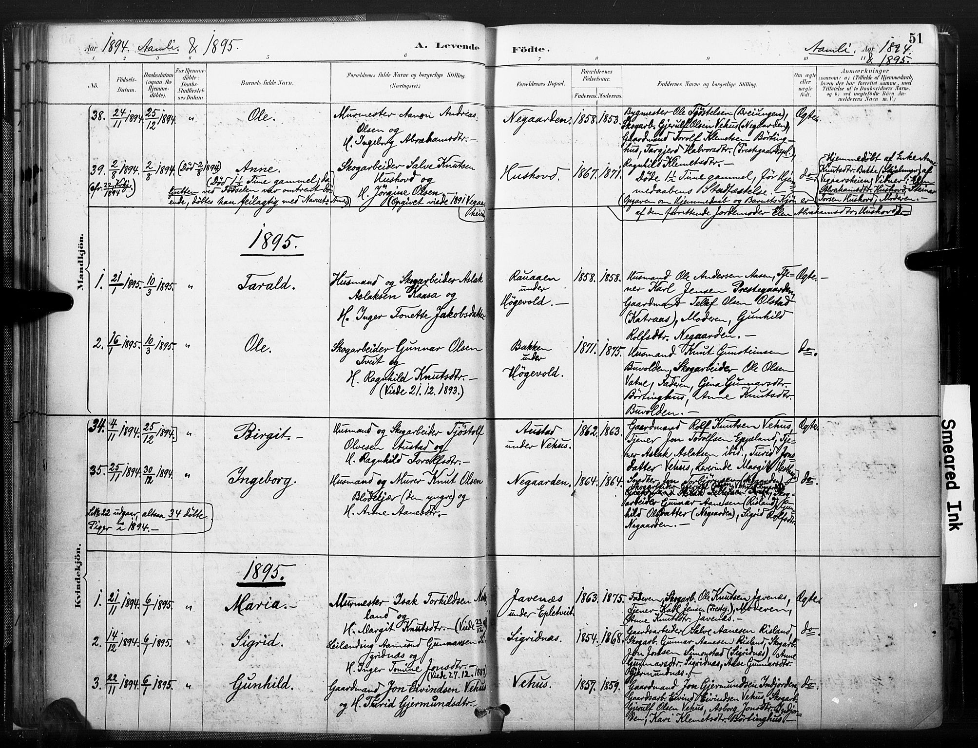 Åmli sokneprestkontor, AV/SAK-1111-0050/F/Fa/Fac/L0010: Parish register (official) no. A 10 /1, 1885-1899, p. 51