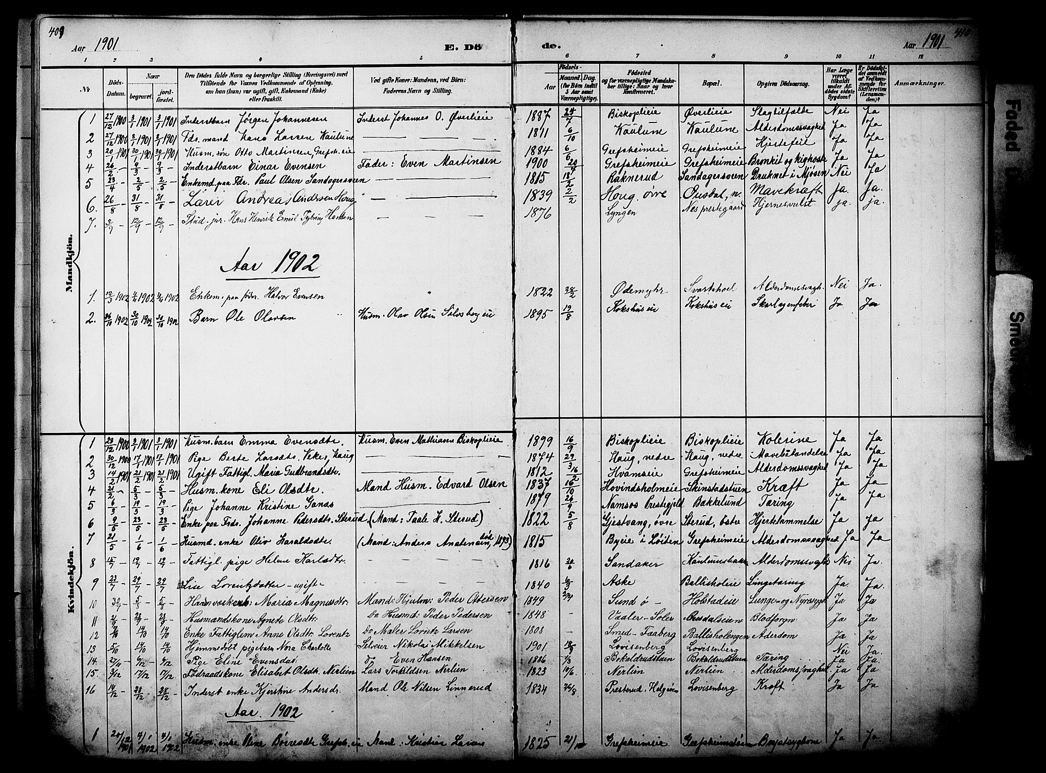 Nes prestekontor, Hedmark, AV/SAH-PREST-020/L/La/L0006: Parish register (copy) no. 6, 1890-1932, p. 409-410