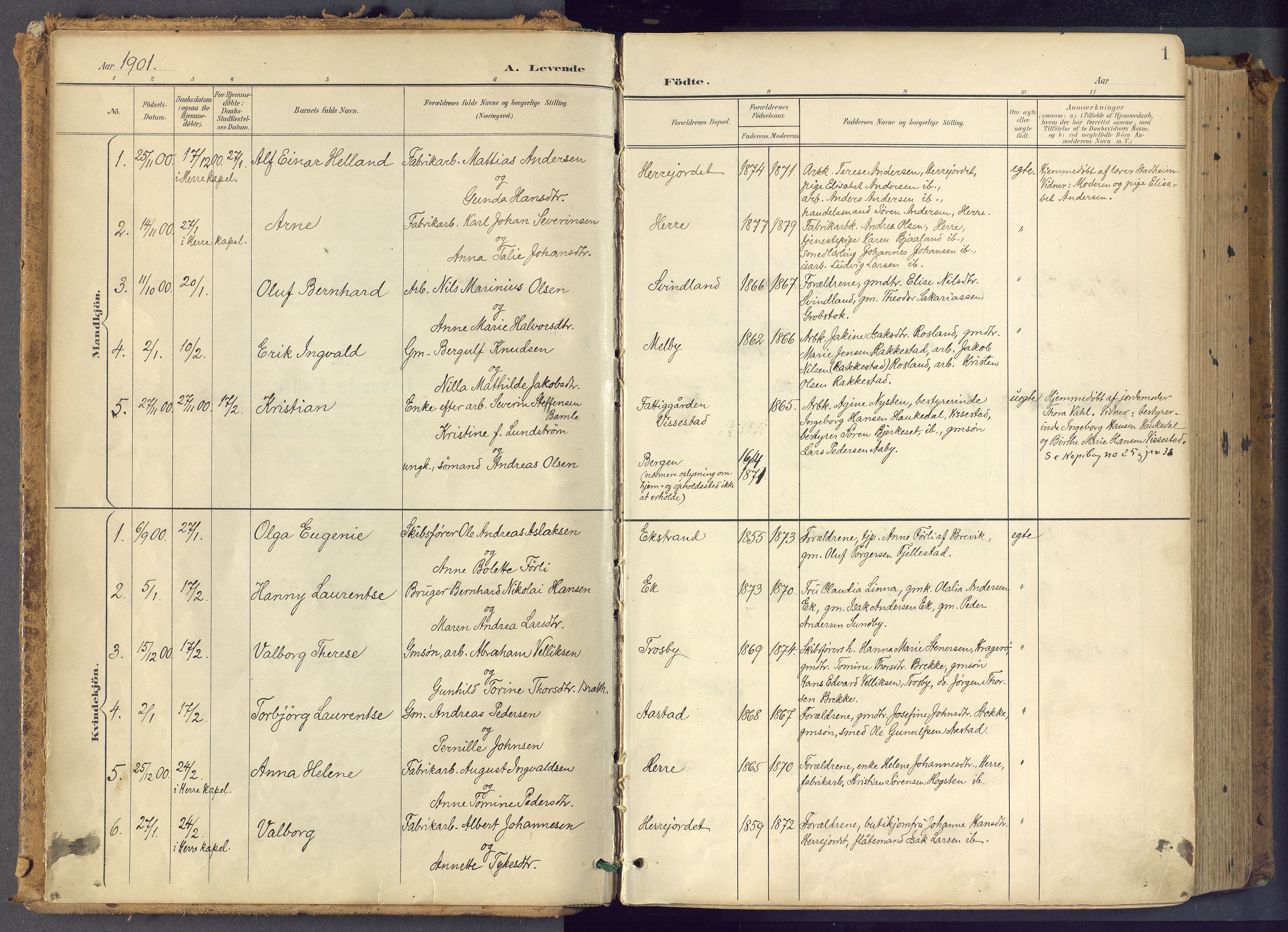 Bamble kirkebøker, SAKO/A-253/F/Fa/L0009: Parish register (official) no. I 9, 1901-1917, p. 1