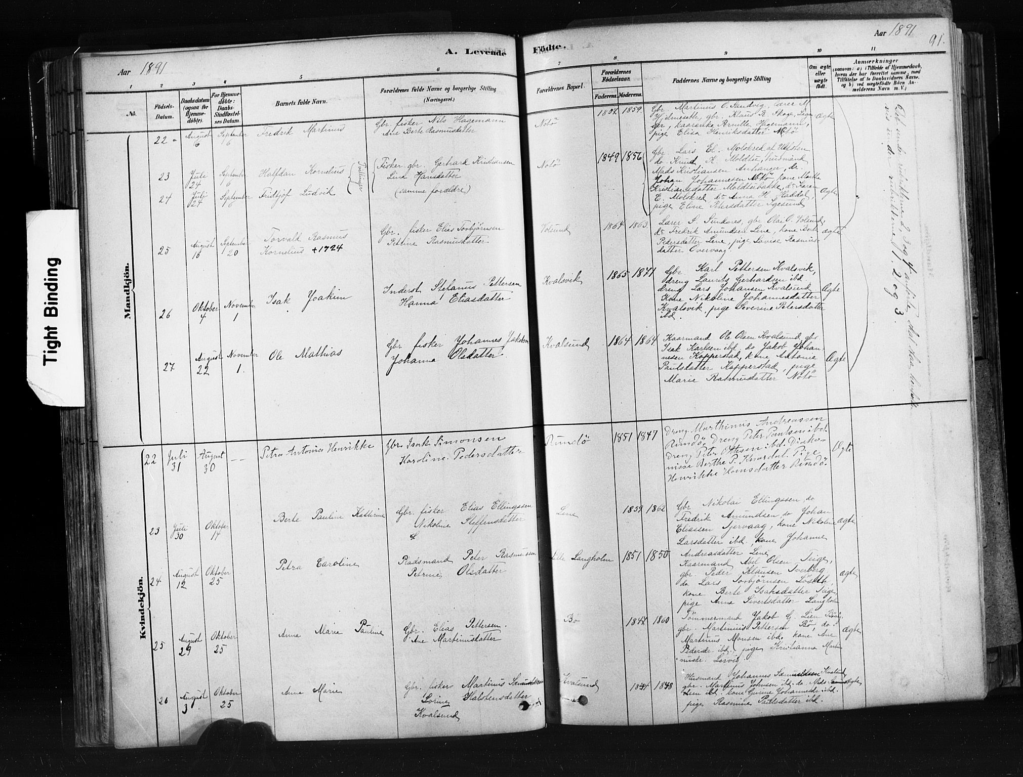 Ministerialprotokoller, klokkerbøker og fødselsregistre - Møre og Romsdal, AV/SAT-A-1454/507/L0073: Parish register (official) no. 507A08, 1878-1904, p. 91