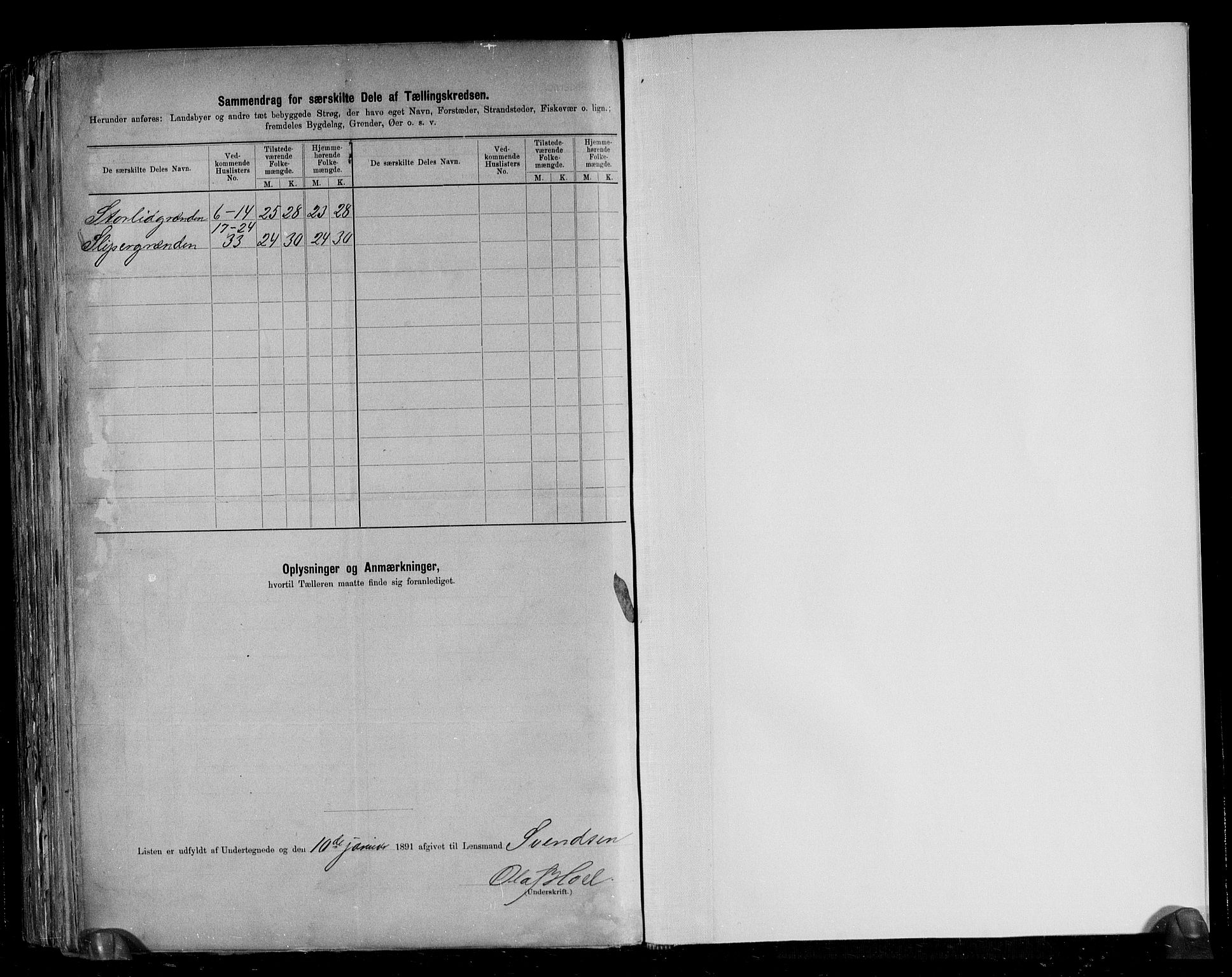 RA, 1891 census for 1634 Oppdal, 1891, p. 25