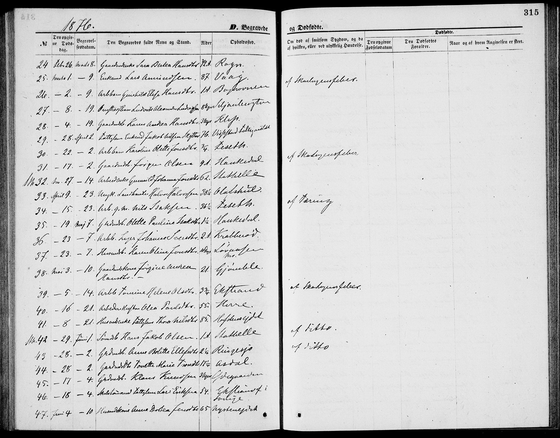 Bamble kirkebøker, AV/SAKO-A-253/G/Ga/L0007: Parish register (copy) no. I 7, 1876-1877, p. 315