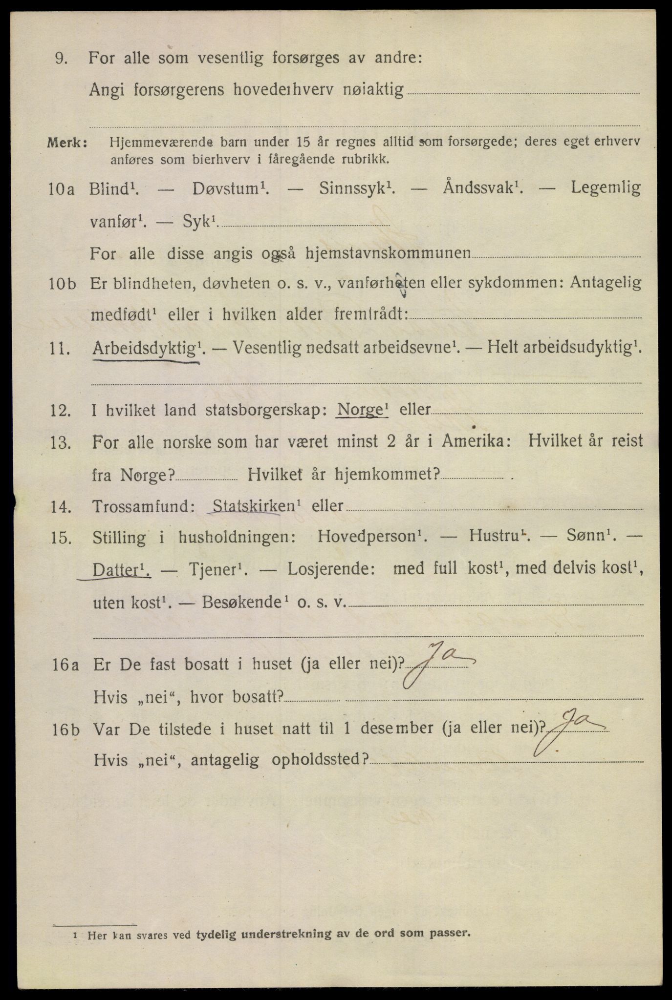 SAKO, 1920 census for Skien, 1920, p. 16847