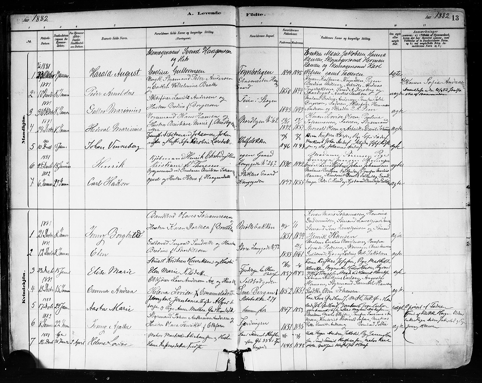 Tønsberg kirkebøker, AV/SAKO-A-330/F/Fa/L0011: Parish register (official) no. I 11, 1881-1890, p. 13