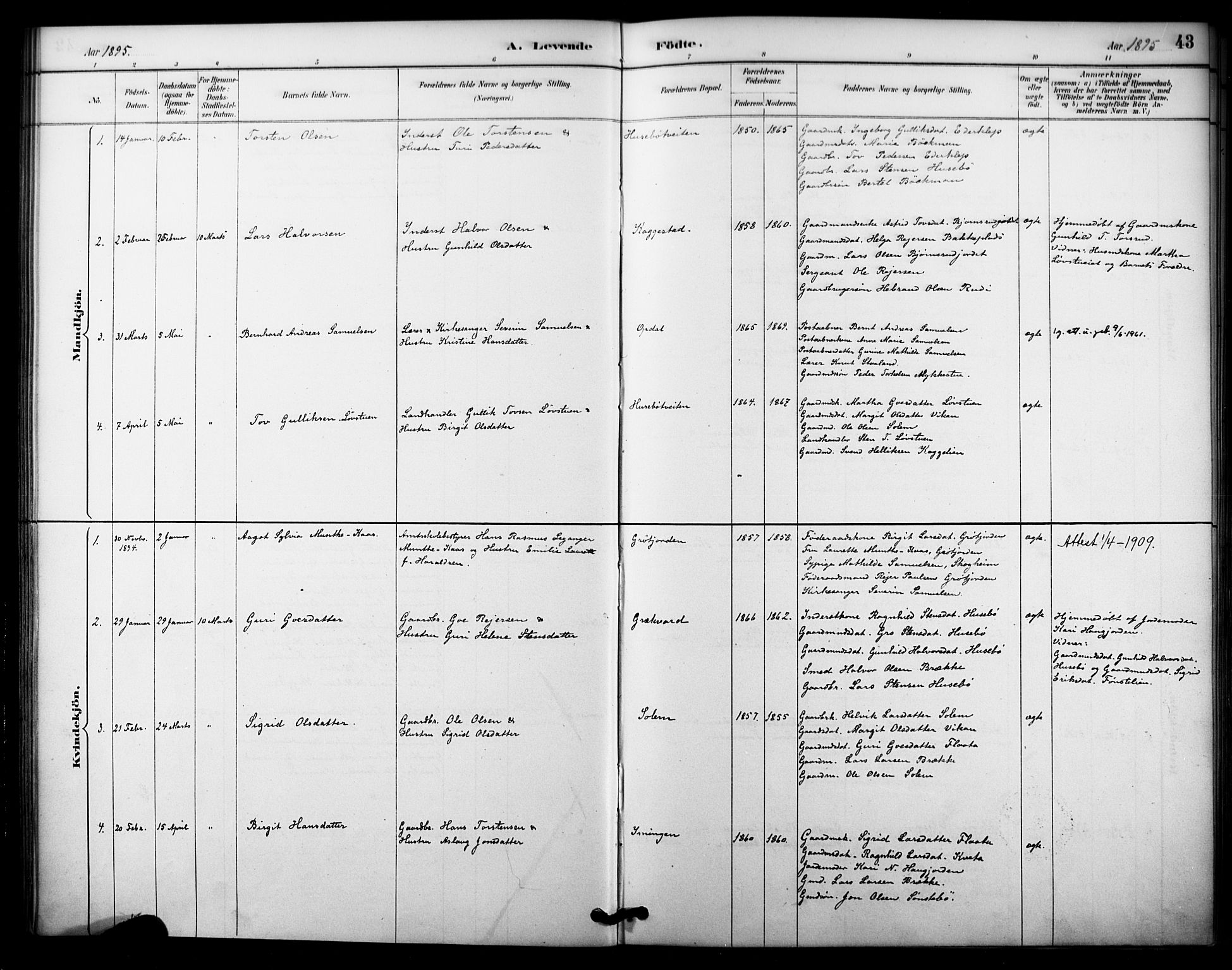 Nore kirkebøker, AV/SAKO-A-238/F/Fc/L0004: Parish register (official) no. III 4, 1885-1898, p. 43