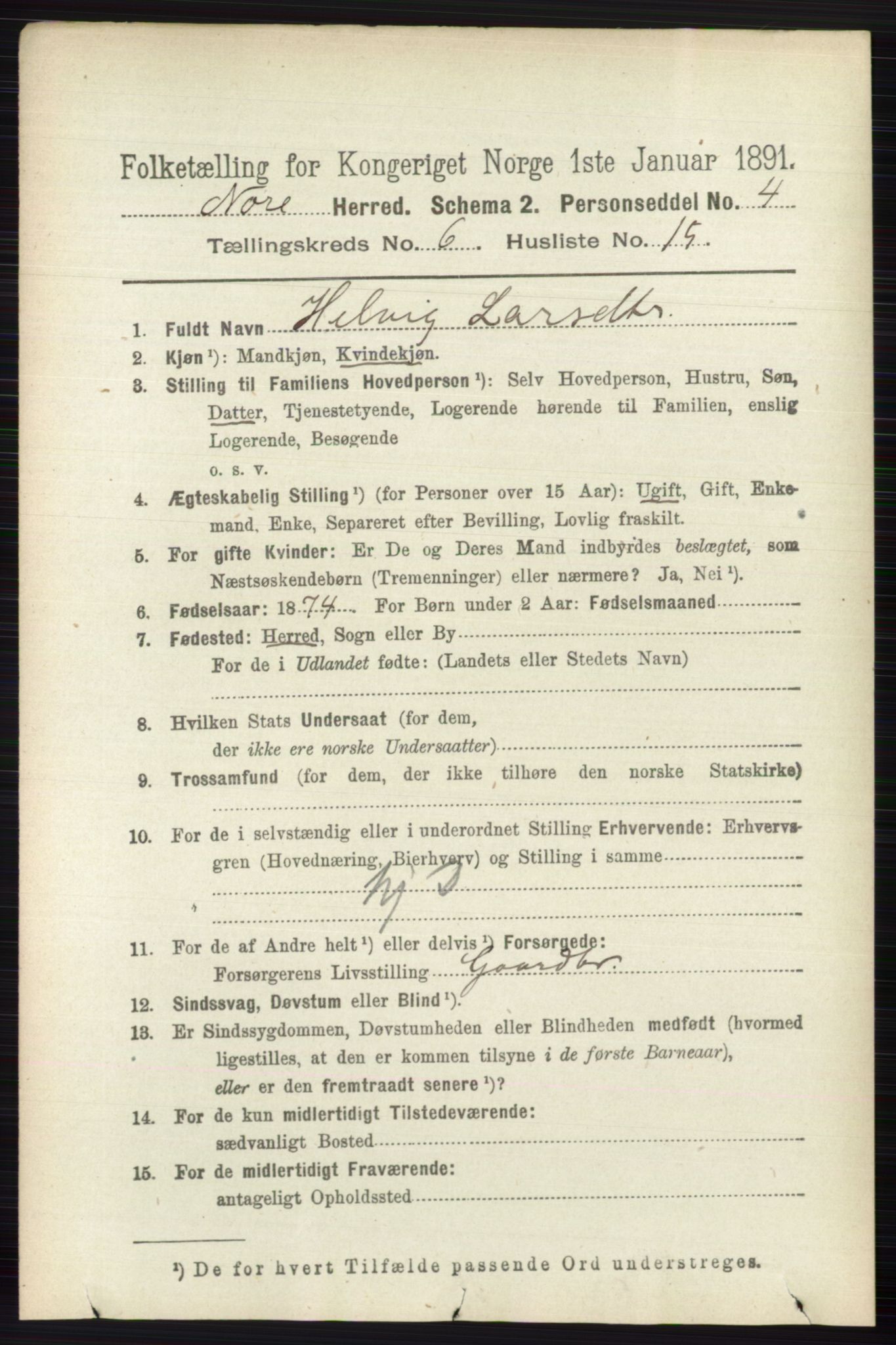 RA, 1891 census for 0633 Nore, 1891, p. 2074