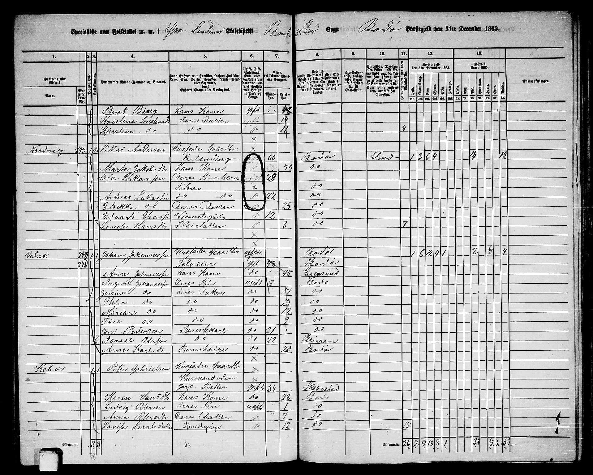 RA, 1865 census for Bodø/Bodø, 1865, p. 102