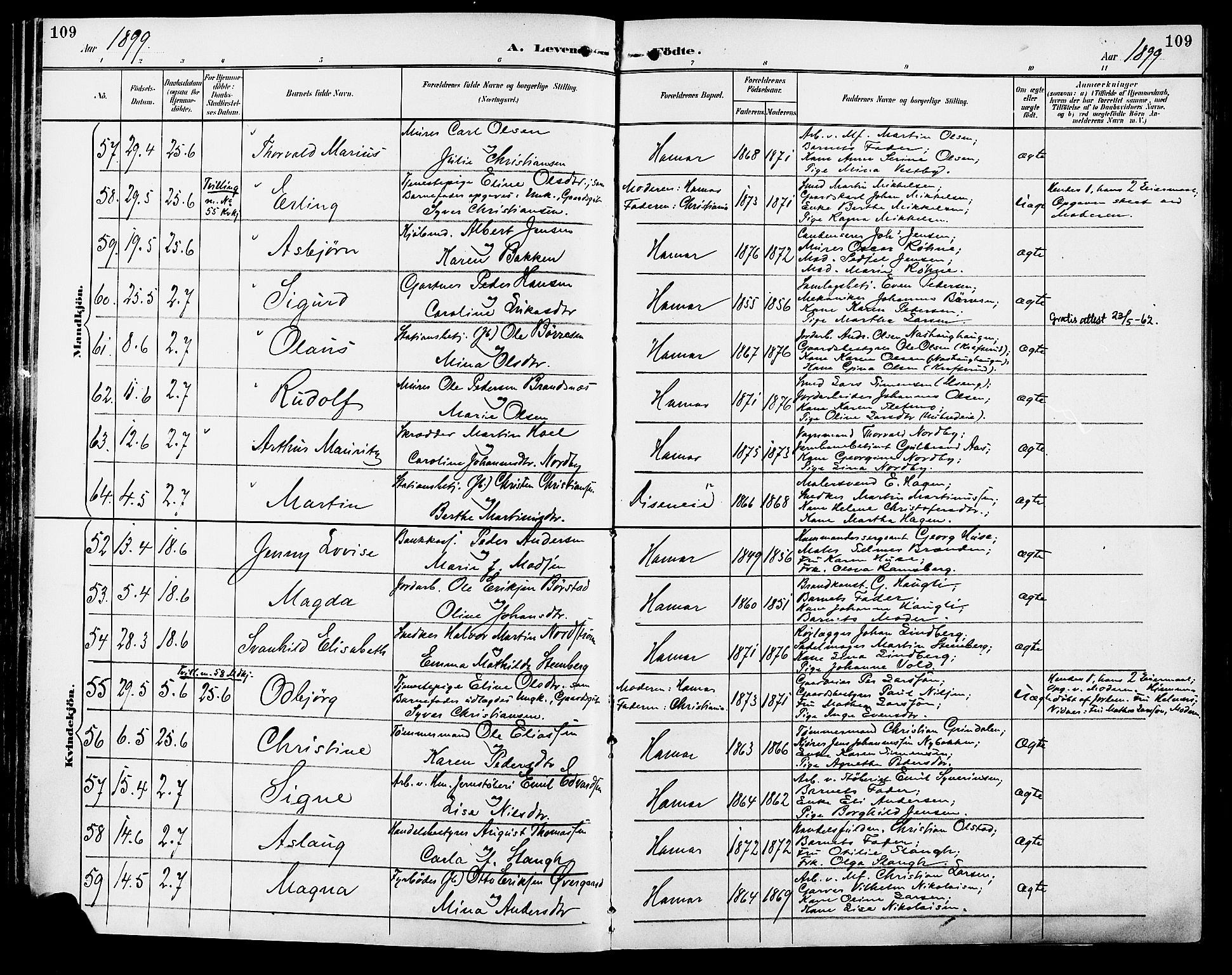 Vang prestekontor, Hedmark, SAH/PREST-008/H/Ha/Haa/L0017: Parish register (official) no. 17, 1890-1899, p. 109