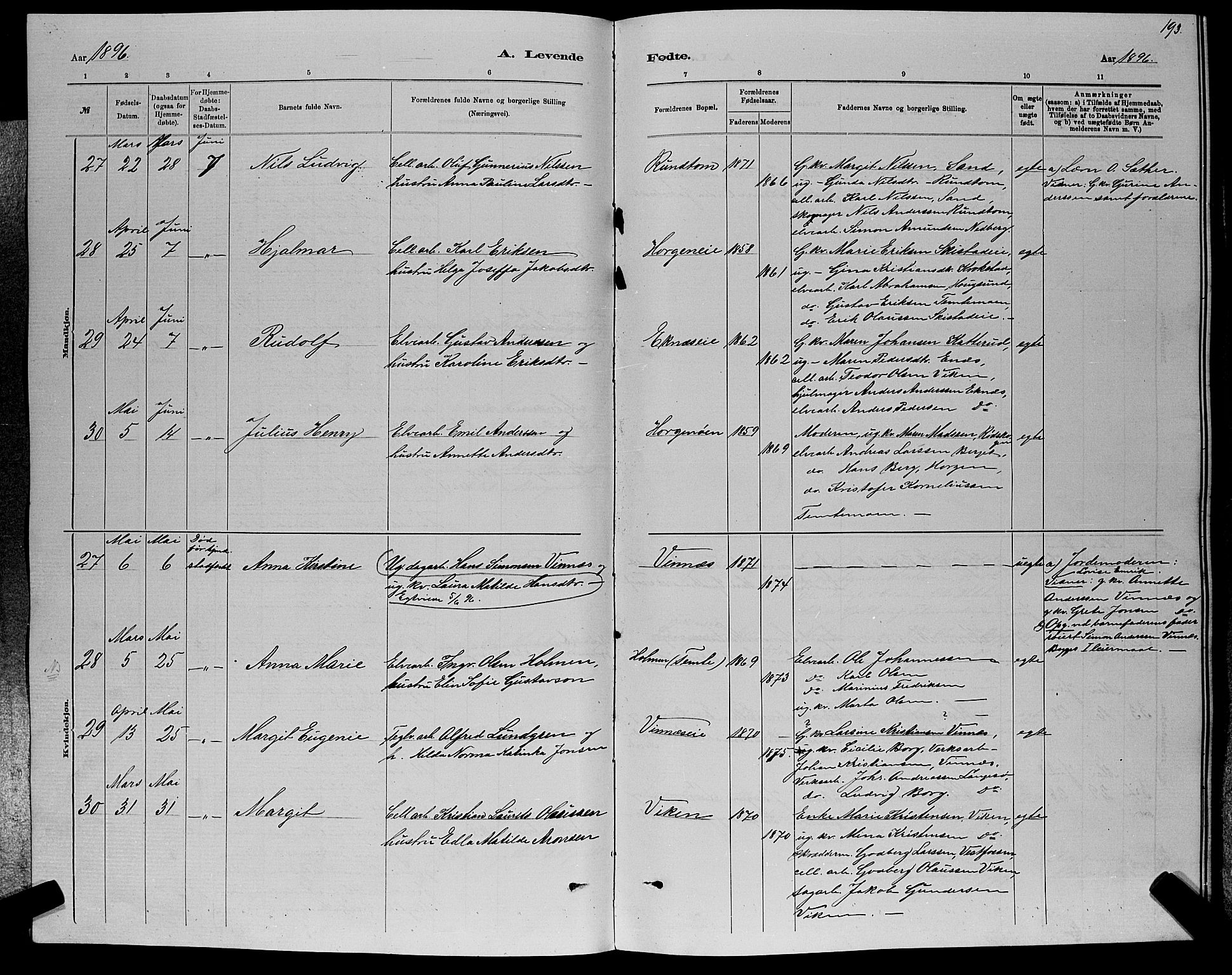 Nedre Eiker kirkebøker, AV/SAKO-A-612/G/Ga/L0002: Parish register (copy) no. 2, 1880-1896, p. 193