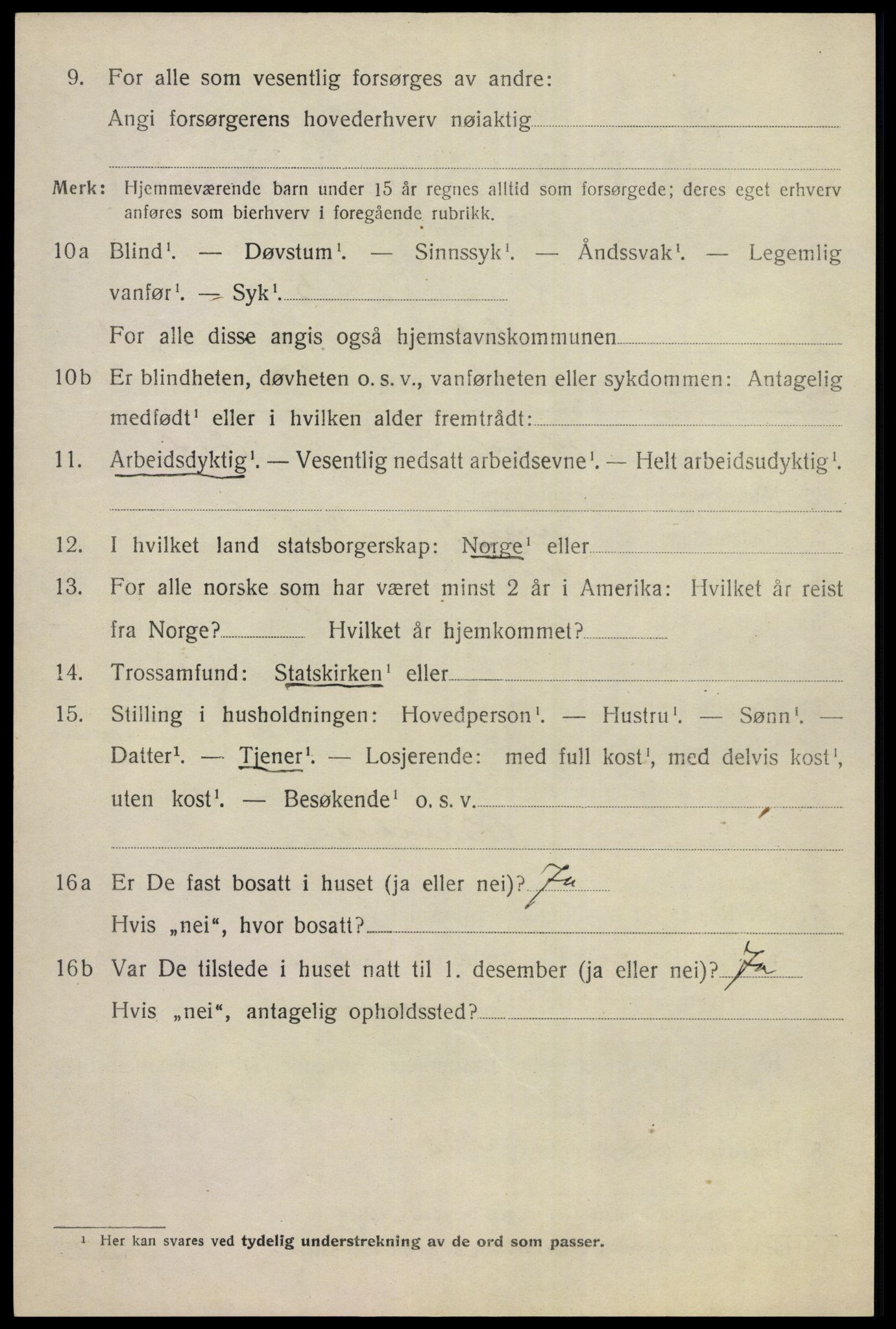 SAKO, 1920 census for Hol (Buskerud), 1920, p. 2426