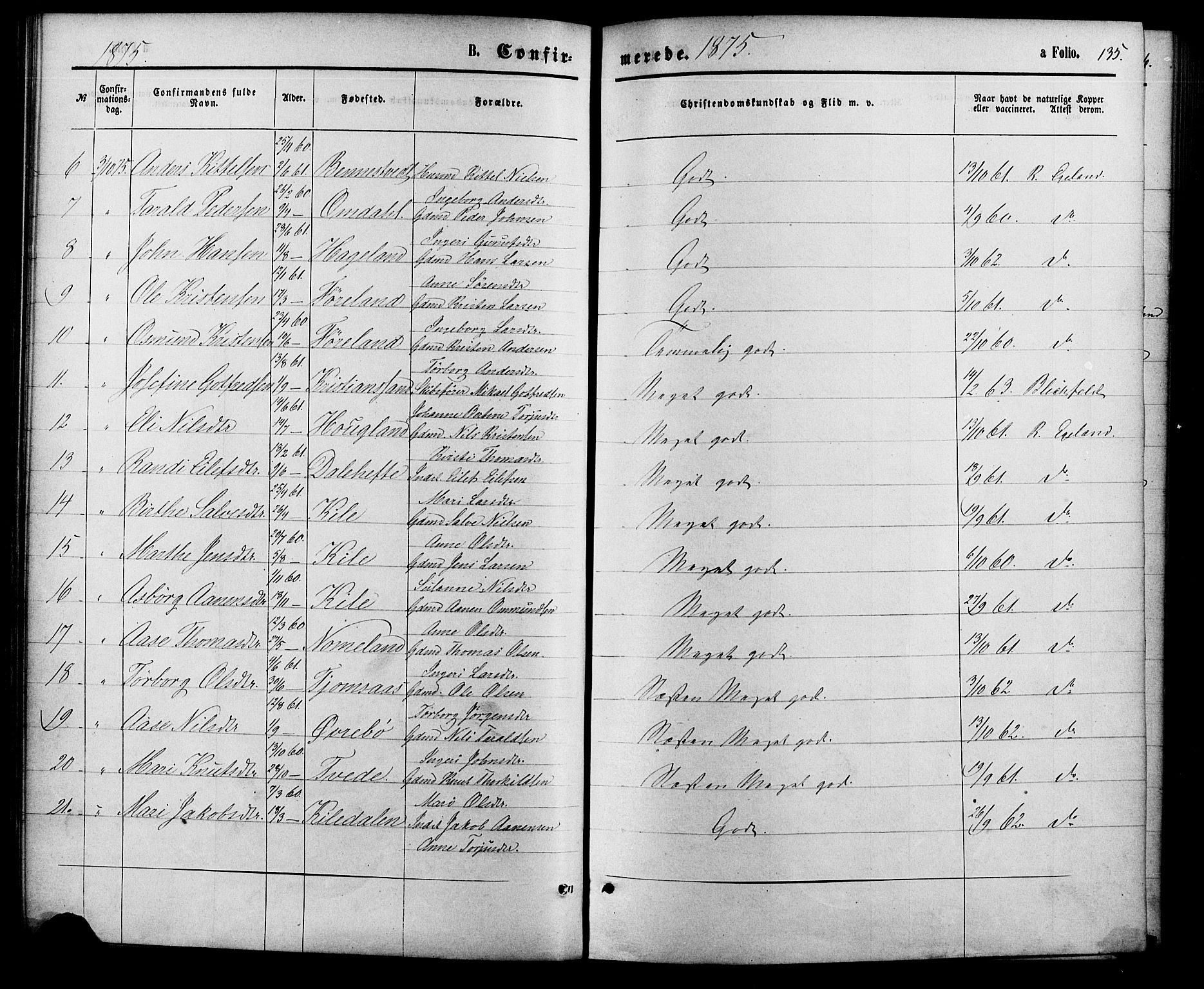 Vennesla sokneprestkontor, AV/SAK-1111-0045/Fa/Fac/L0008: Parish register (official) no. A 8, 1874-1883, p. 135