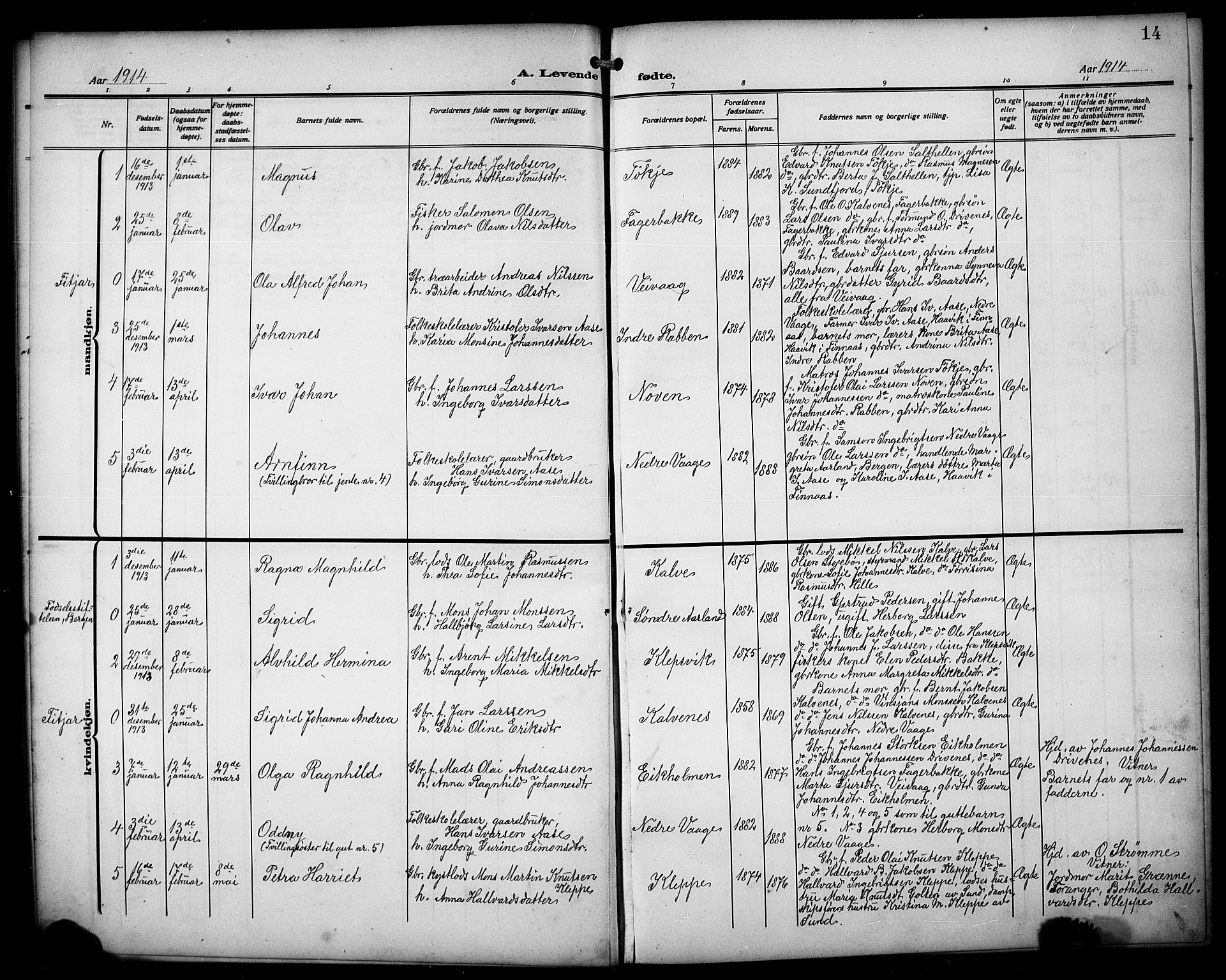 Austevoll Sokneprestembete, SAB/A-74201/H/Hab: Parish register (copy) no. B 6, 1911-1925, p. 14