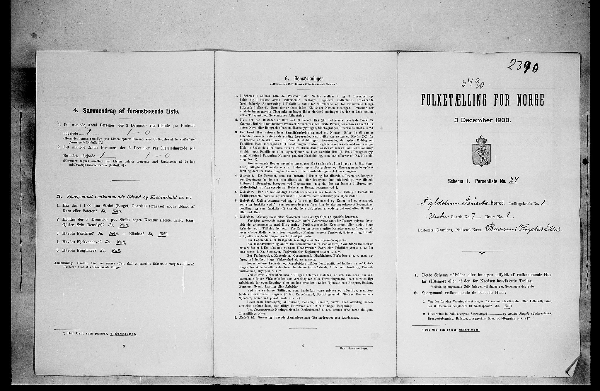 SAH, 1900 census for Tynset, 1900, p. 54