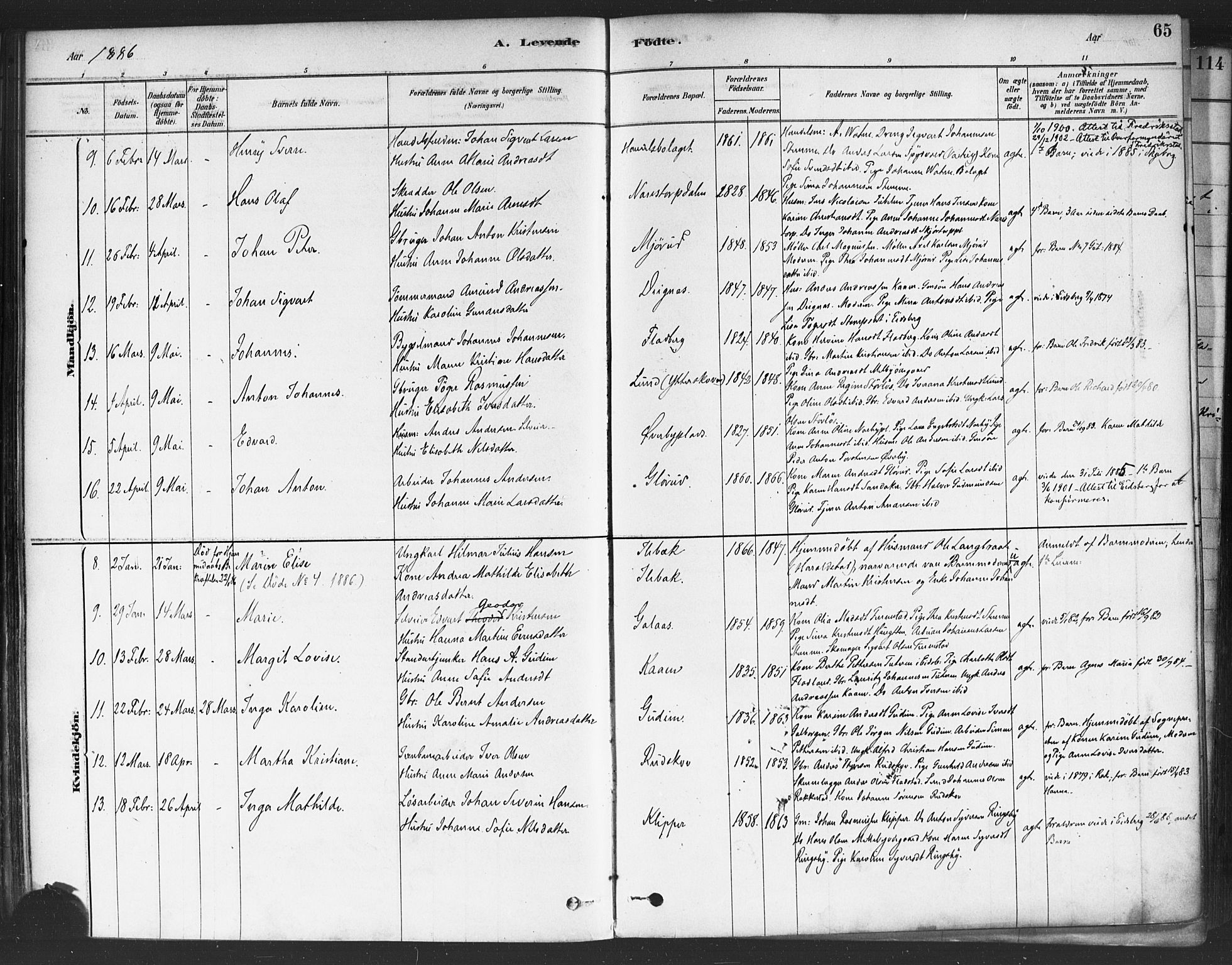 Rakkestad prestekontor Kirkebøker, AV/SAO-A-2008/F/Fa/L0012: Parish register (official) no. I 12, 1878-1893, p. 65