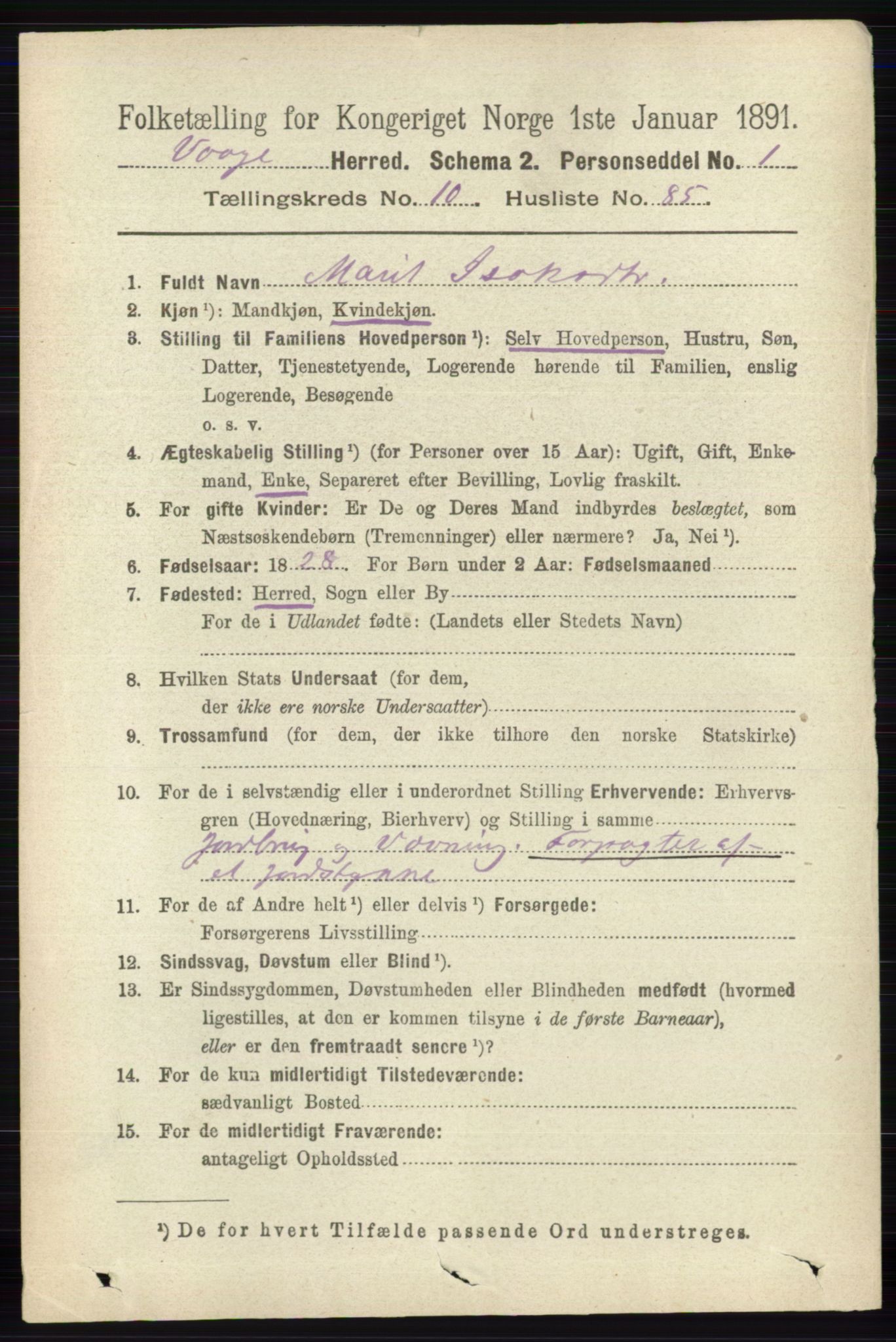 RA, 1891 census for 0515 Vågå, 1891, p. 6729