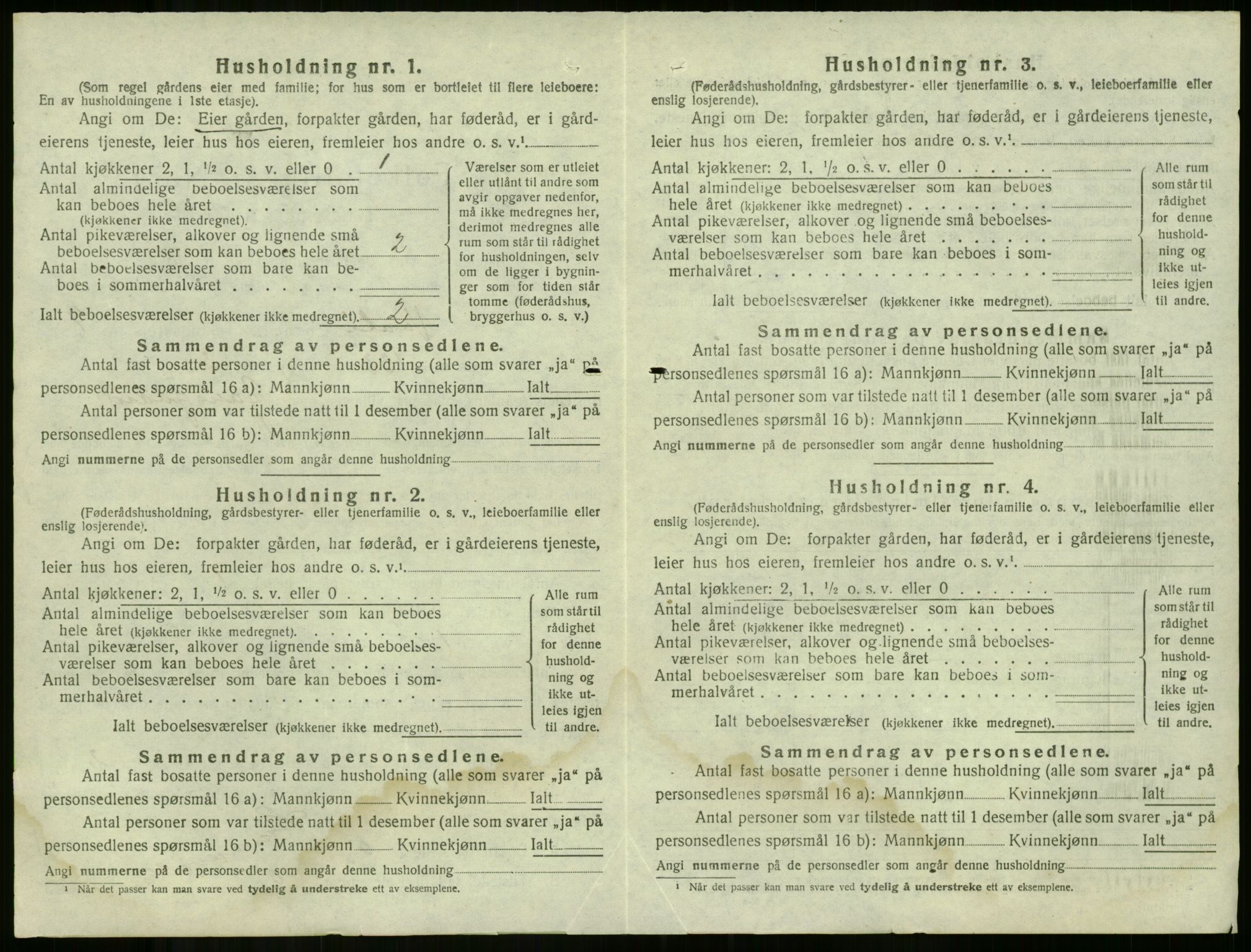 SAKO, 1920 census for Våle, 1920, p. 972