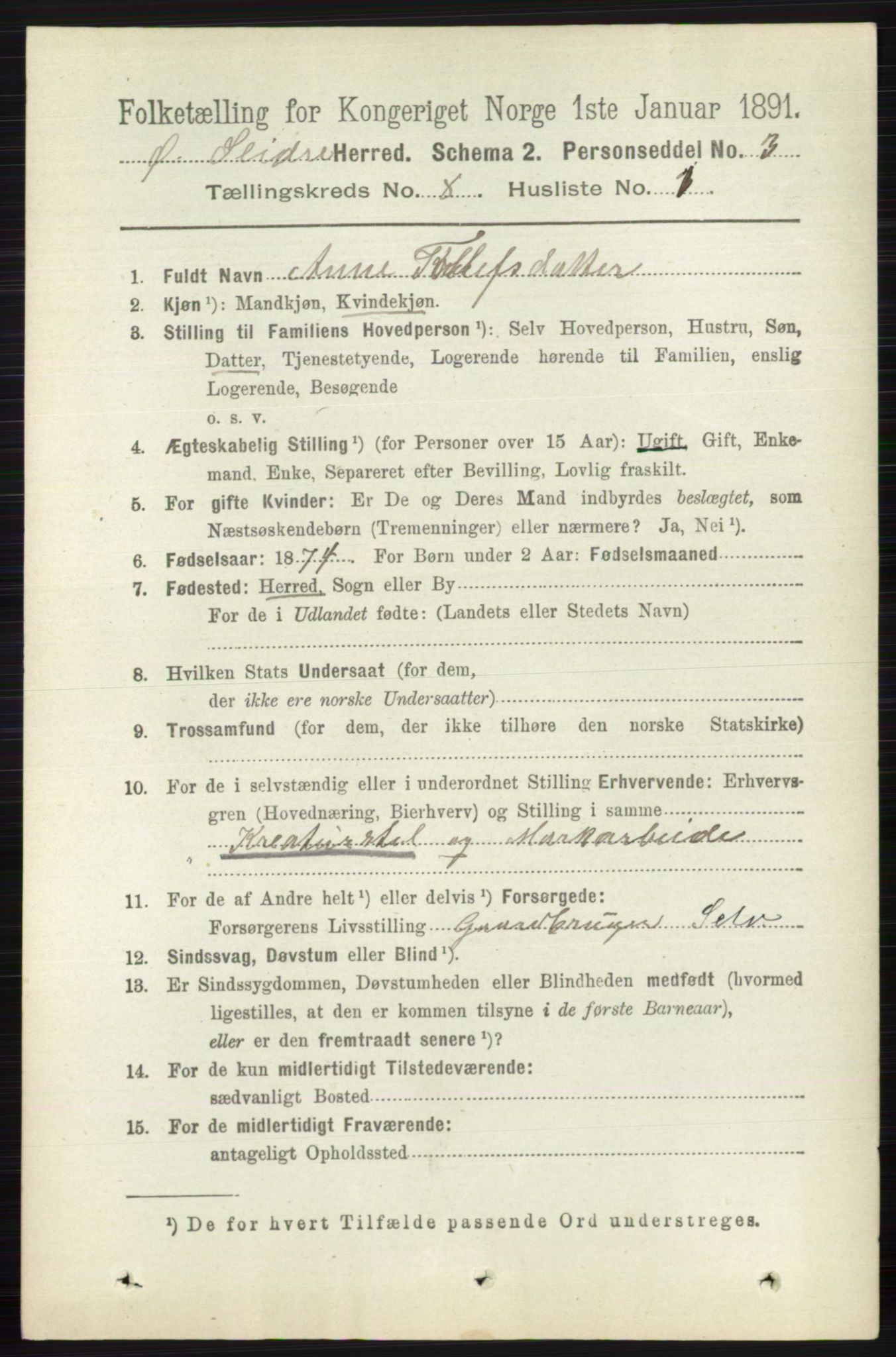 RA, 1891 census for 0544 Øystre Slidre, 1891, p. 2554