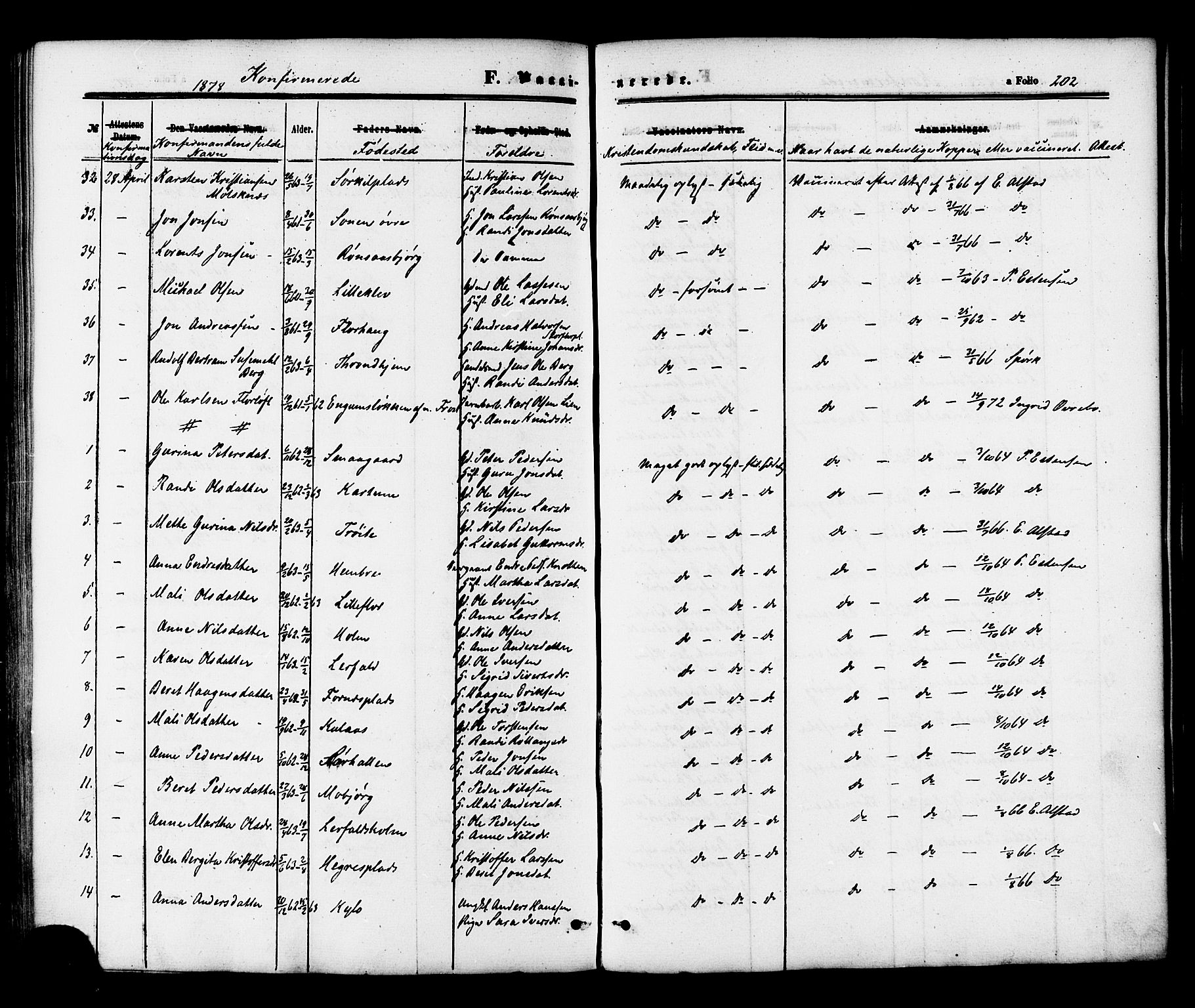 Ministerialprotokoller, klokkerbøker og fødselsregistre - Nord-Trøndelag, SAT/A-1458/703/L0029: Parish register (official) no. 703A02, 1863-1879, p. 202